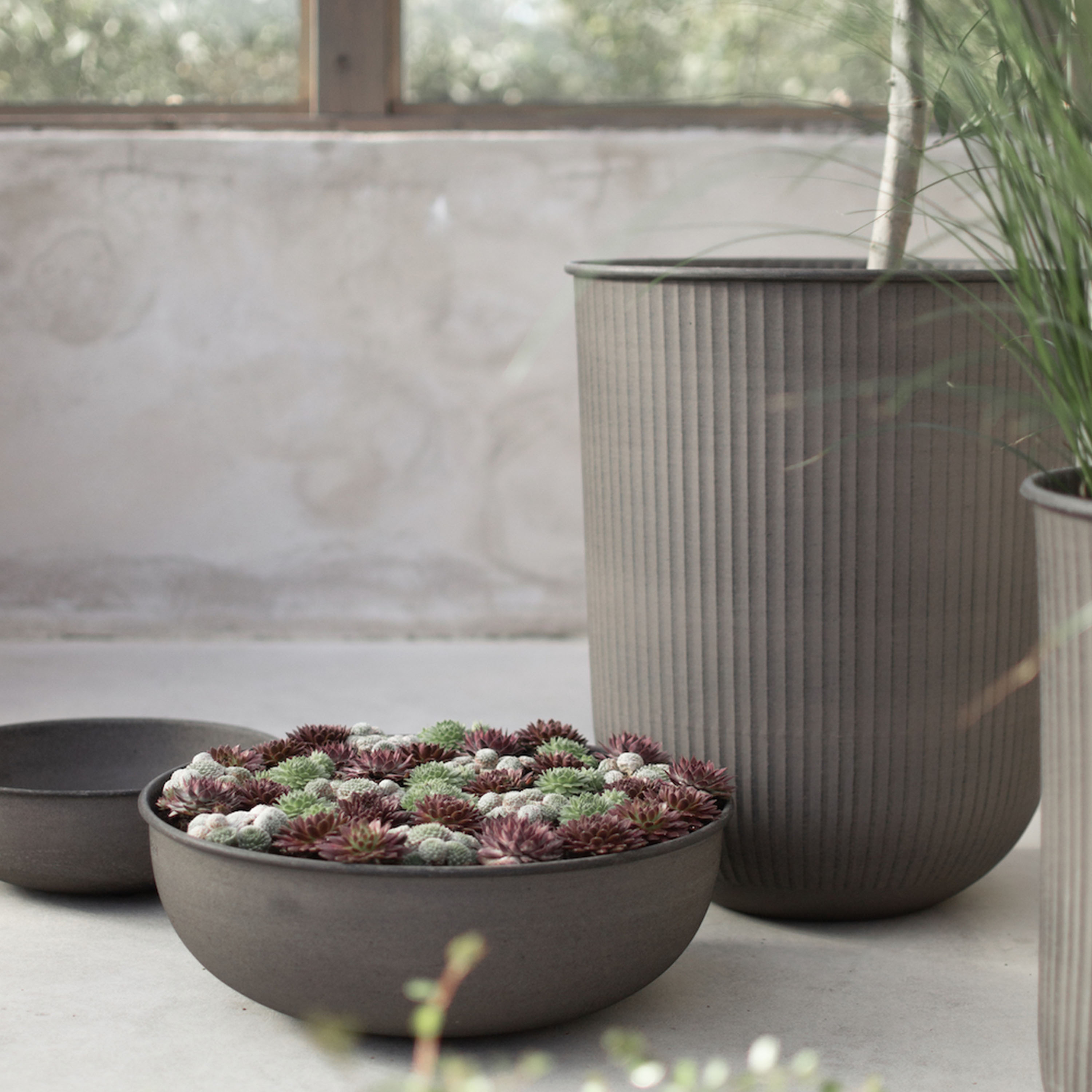 DBKD Out Bowl Brown 3-pakkaus