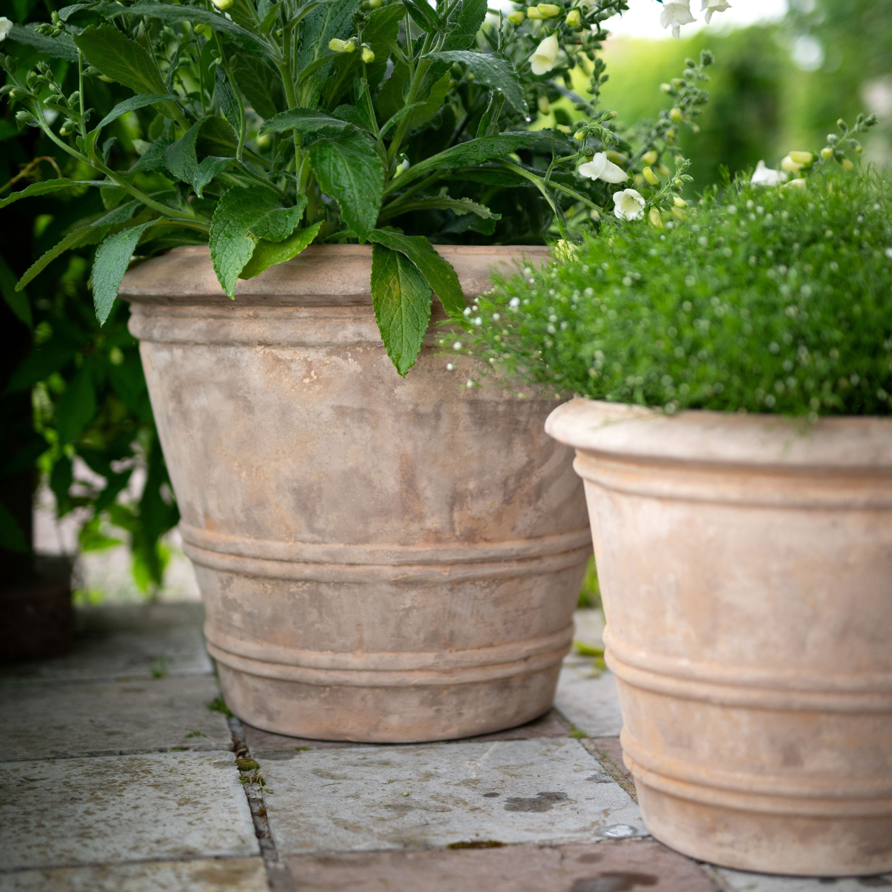 Wikholm Form Quinn Potte Antikk Terrakotta 3-pakning