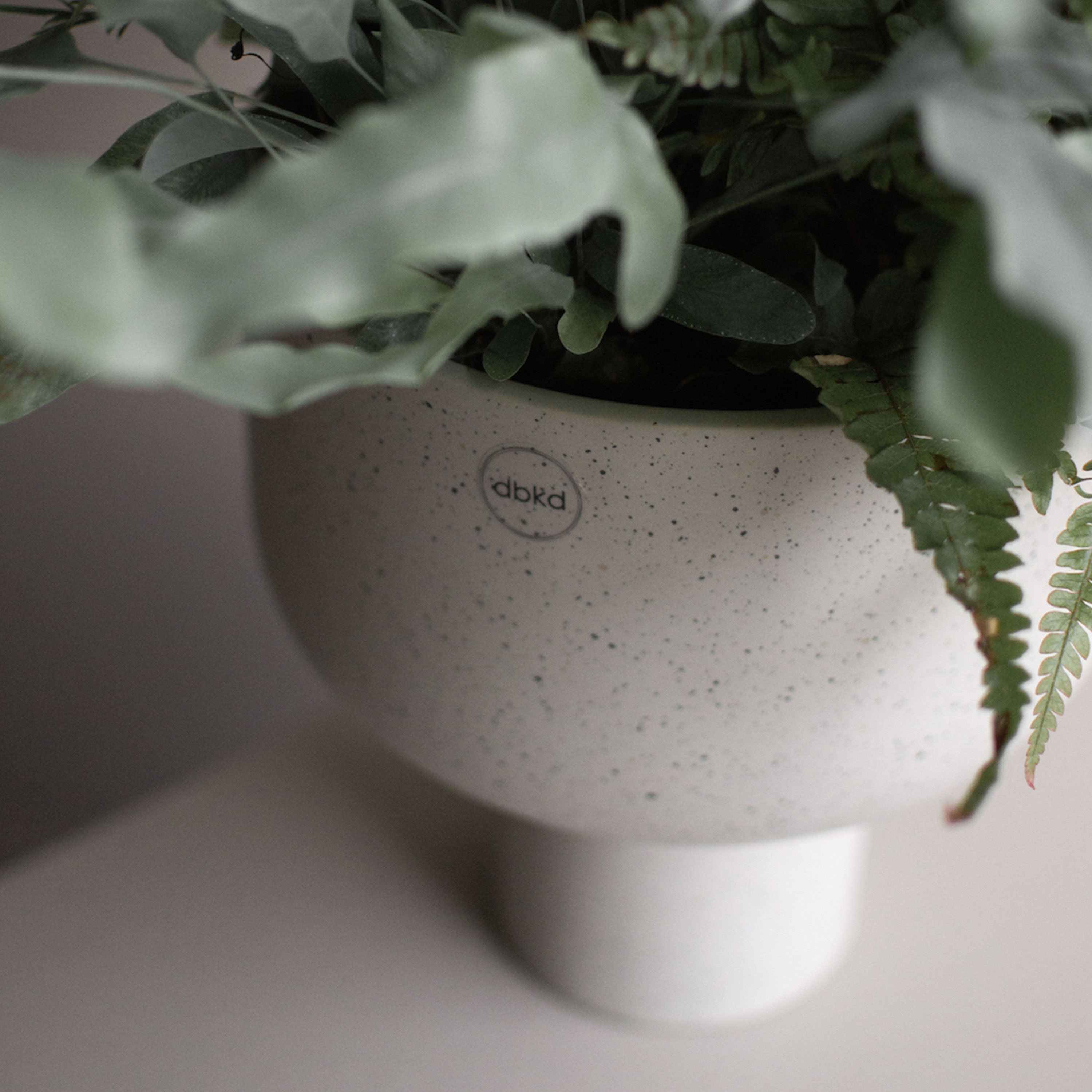 DBKD Post Kruka Mole Dot Large