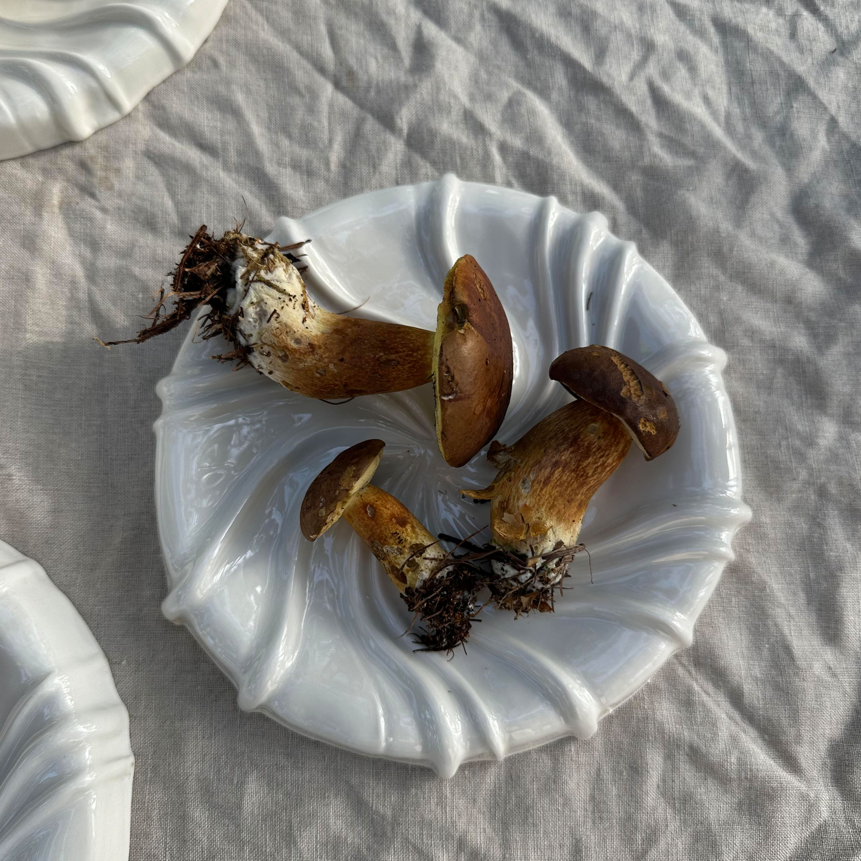 Atelier Marée The Tides Fat White