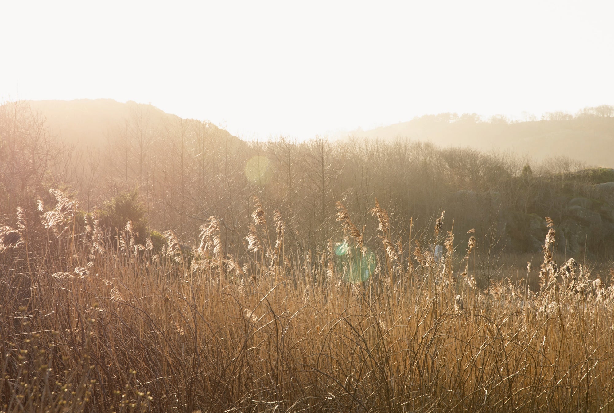 New Mags Stillness Bok