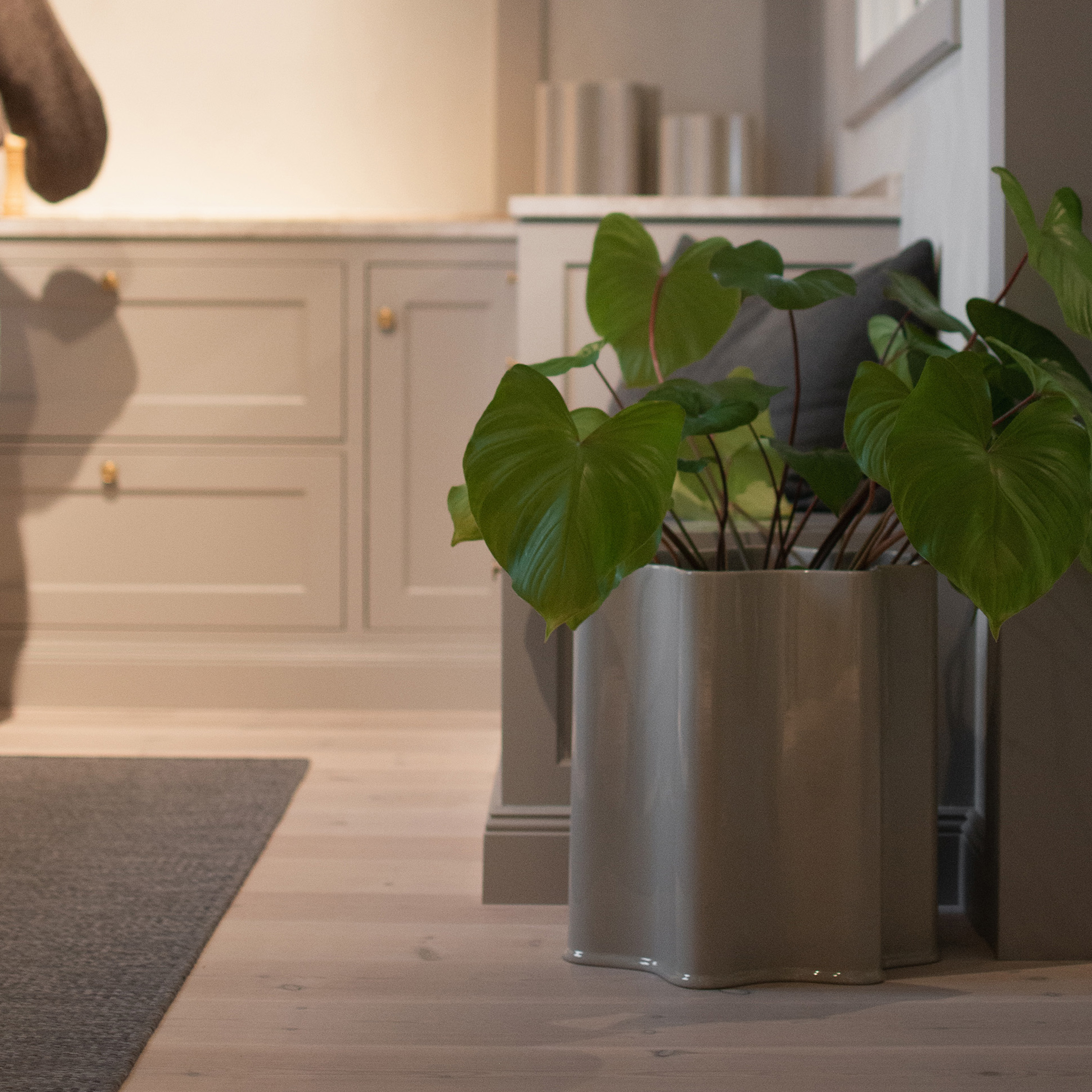 DBKD Filter Kruka Shiny Mole XL