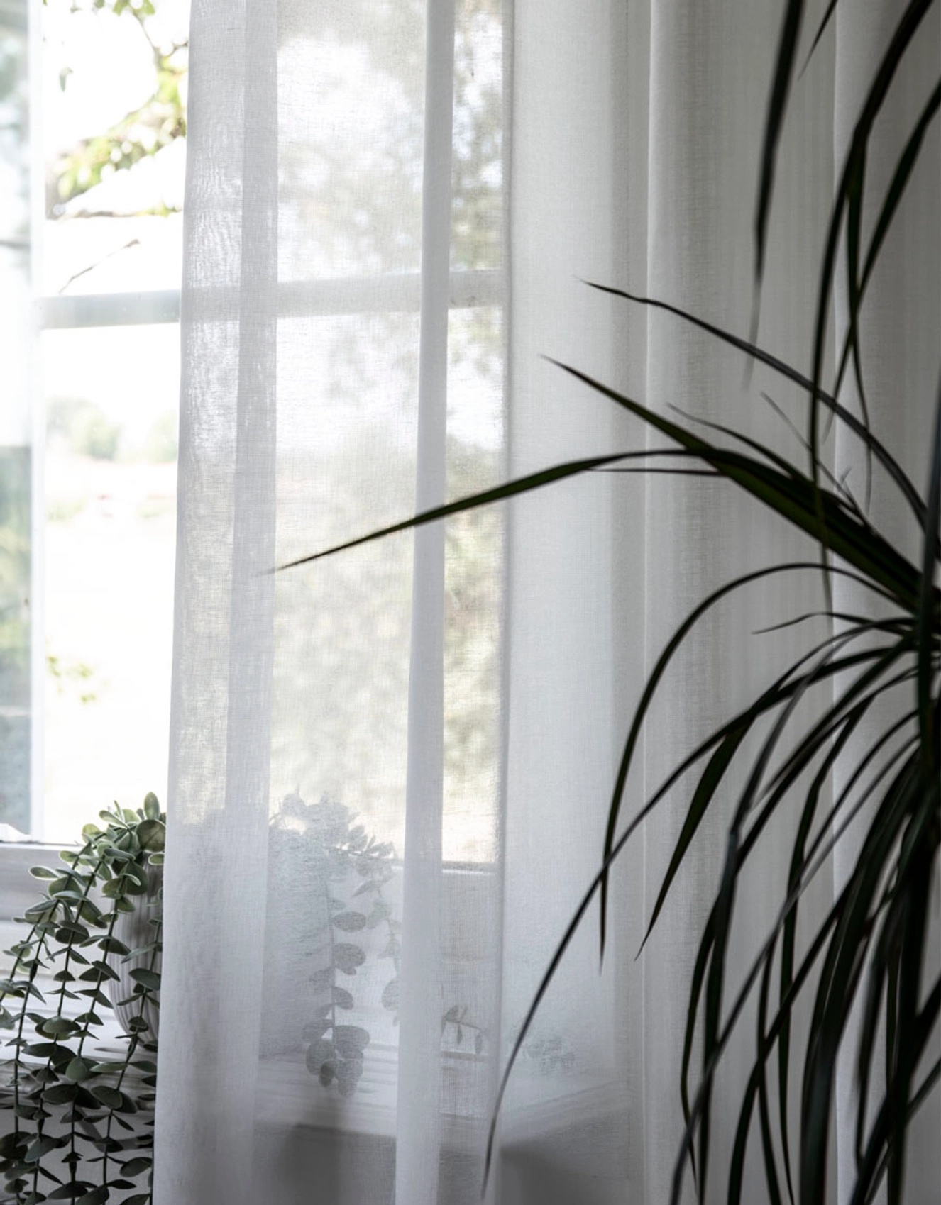 Hasta Home Viska Gardinhøyde Hvit 250cm