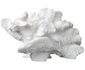 Coral Fan Dekoration White