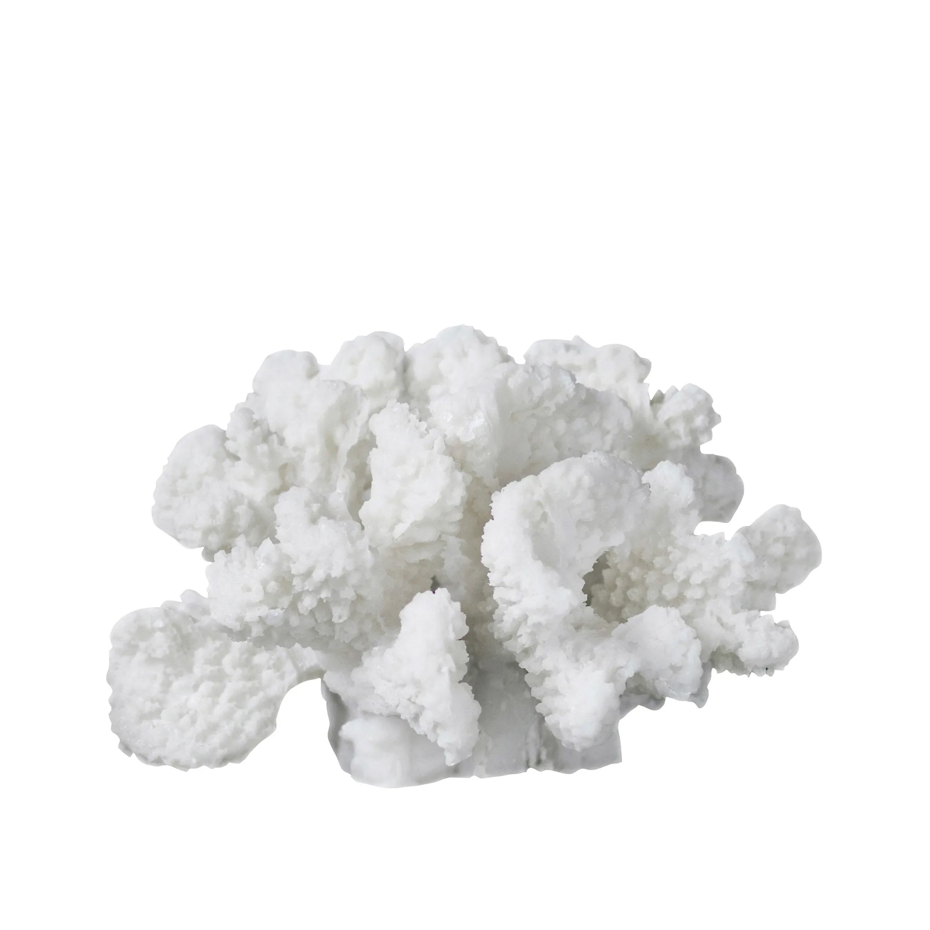 Coral Branches Dekoration White S