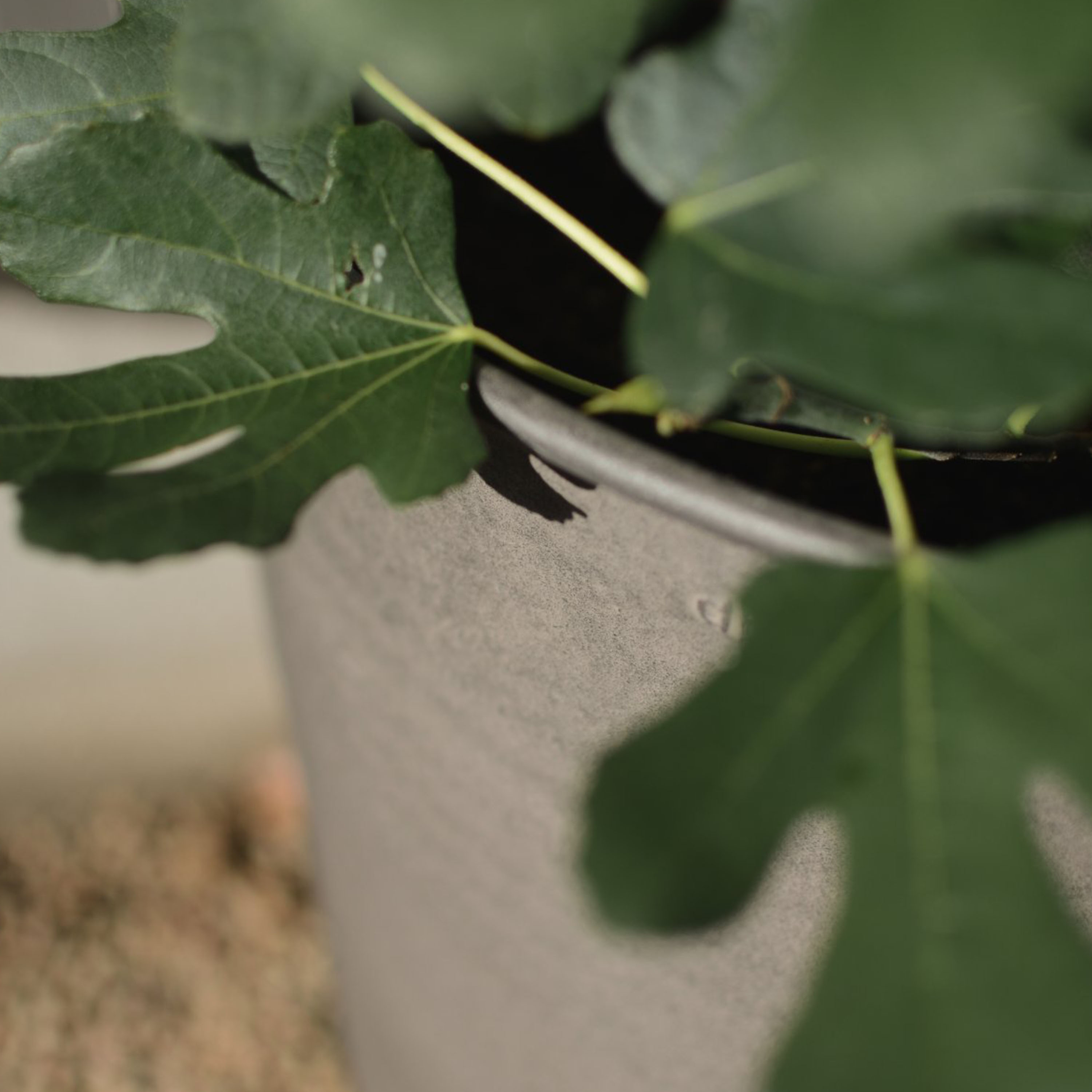 DBKD Out Ruukku 4 kappaleen pakkaus Ruskea