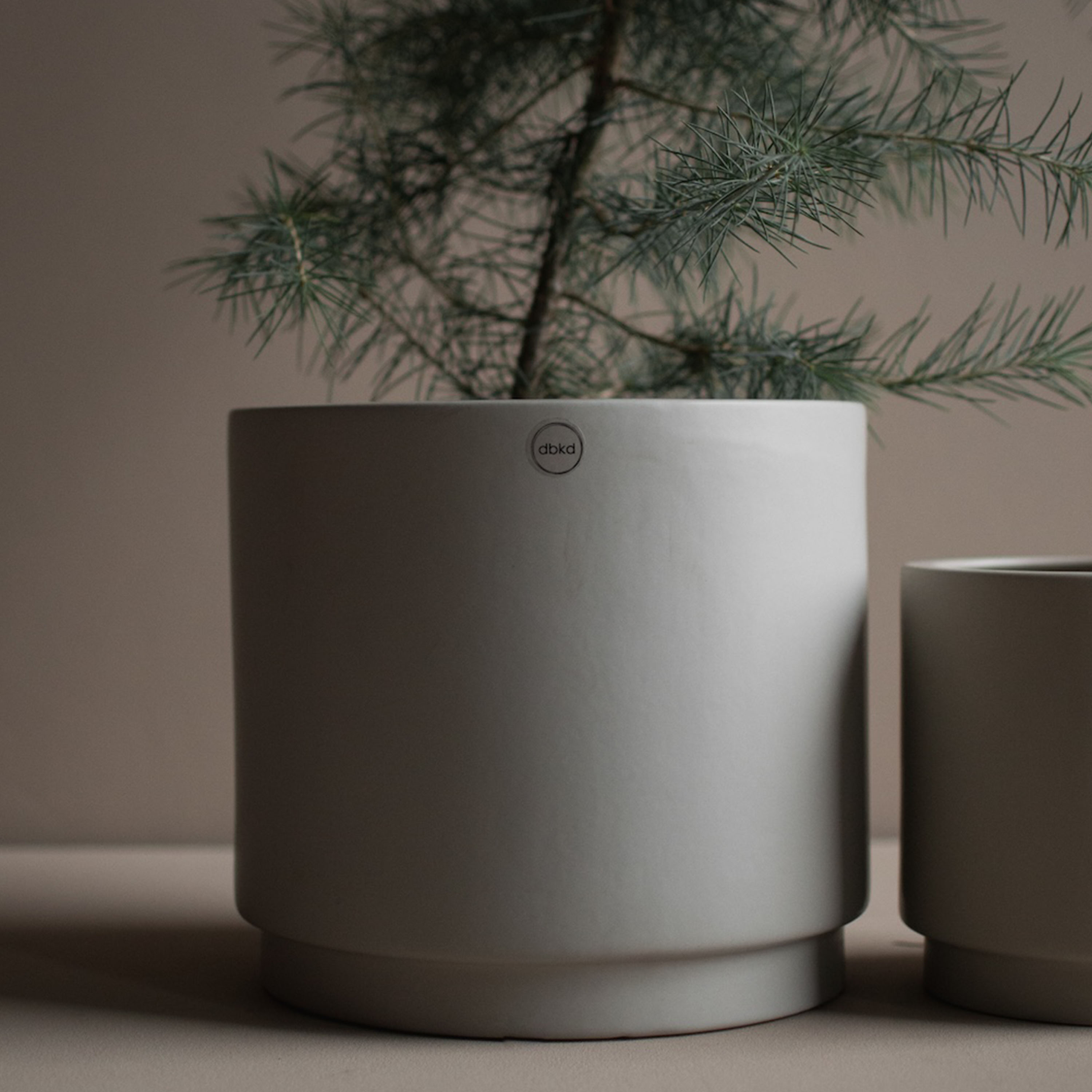 DBKD Solid Kruka Mole Large