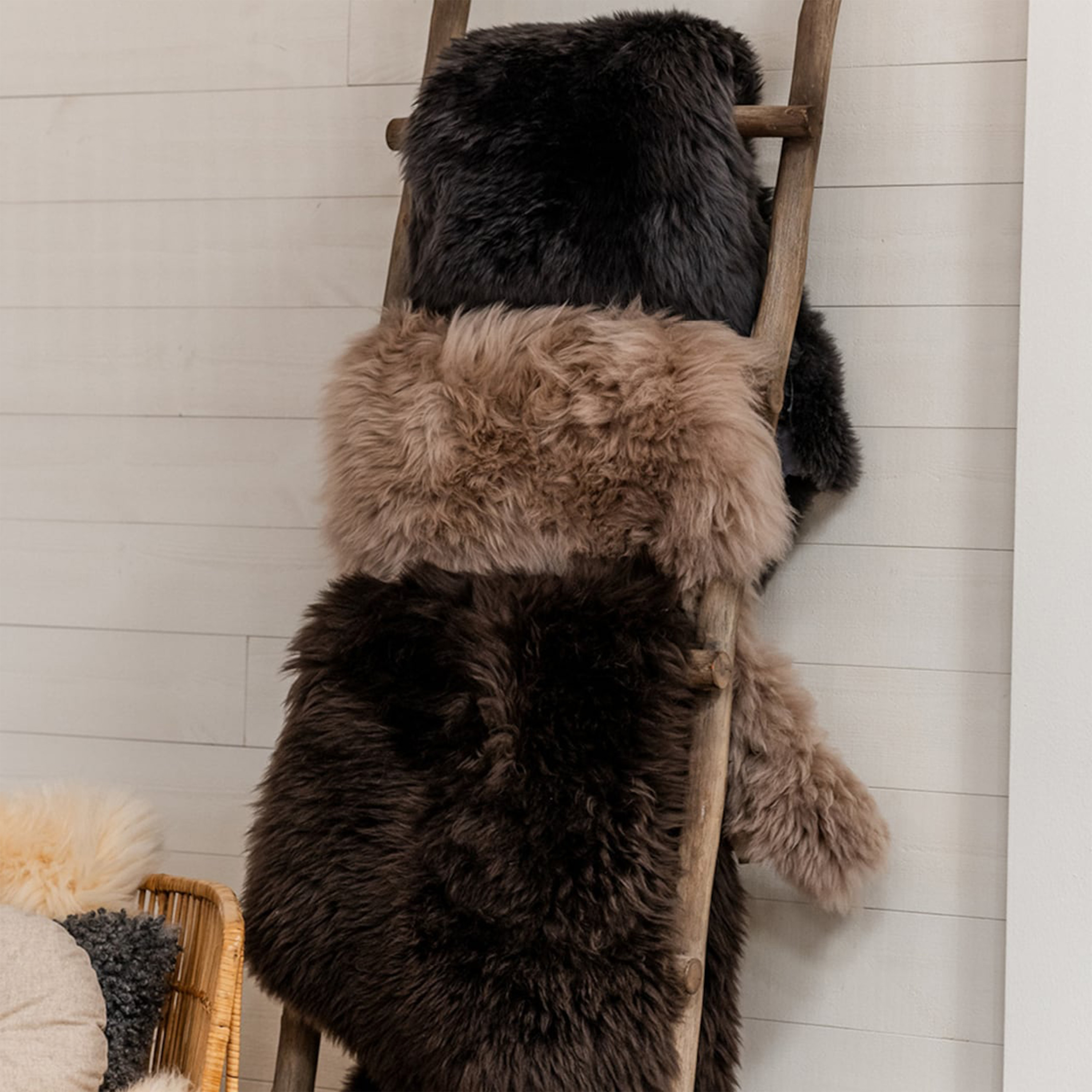 Shepherd Livia Pitkäkarvainen lampaannahka Camel 105x70