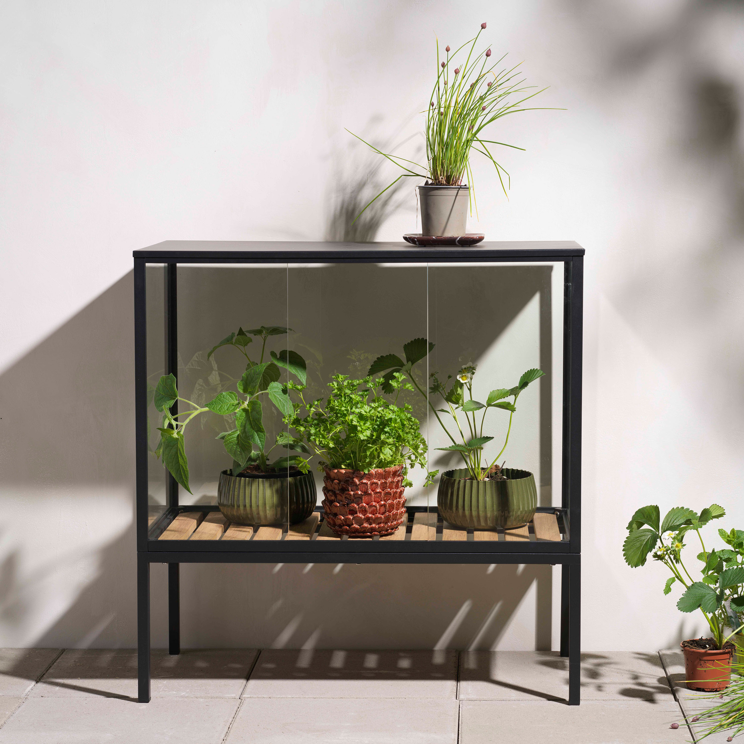 Brafab Grower Växthus Black Small
