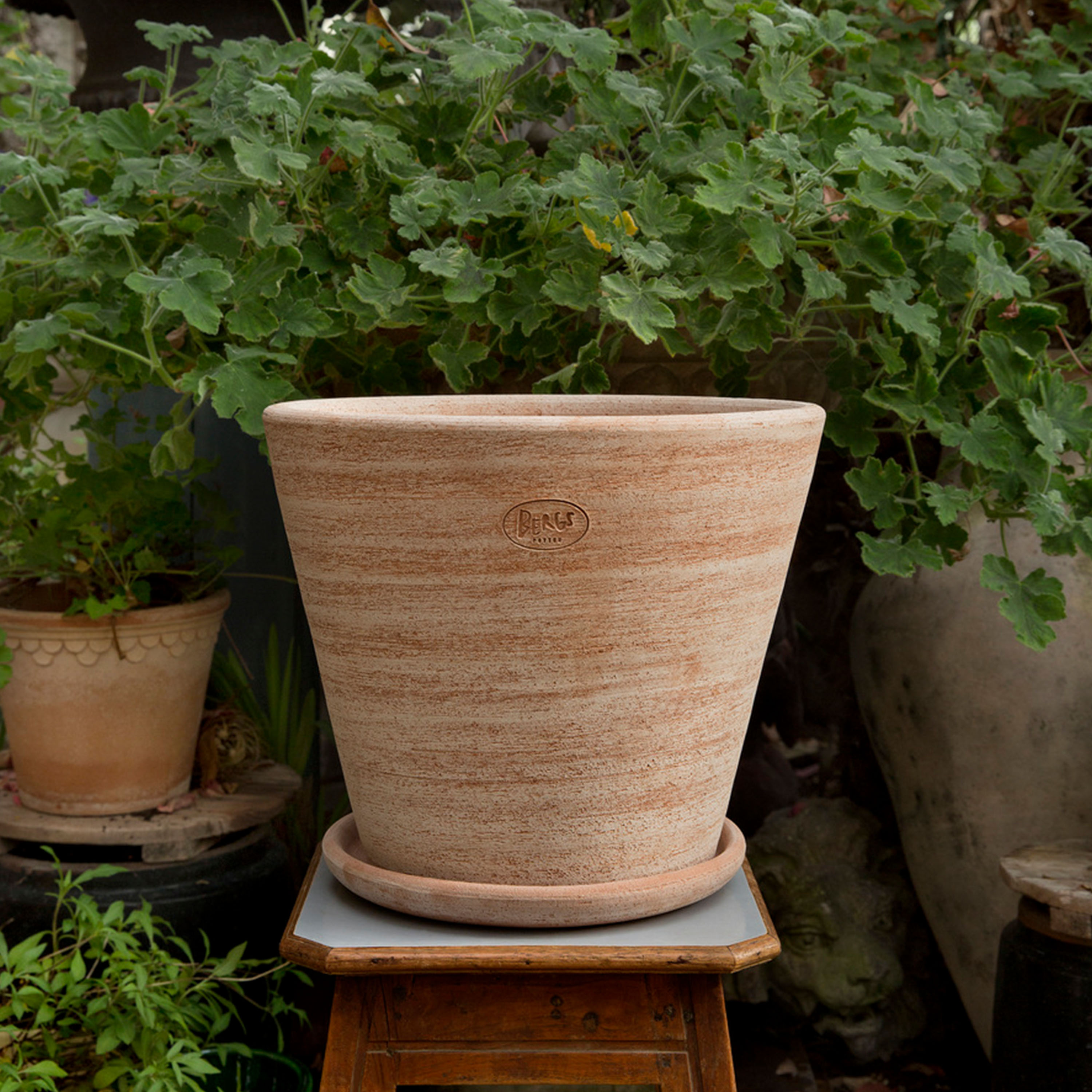 Bergs Potter Julie Kruka med fat Raw Rosa Terracotta Ø45