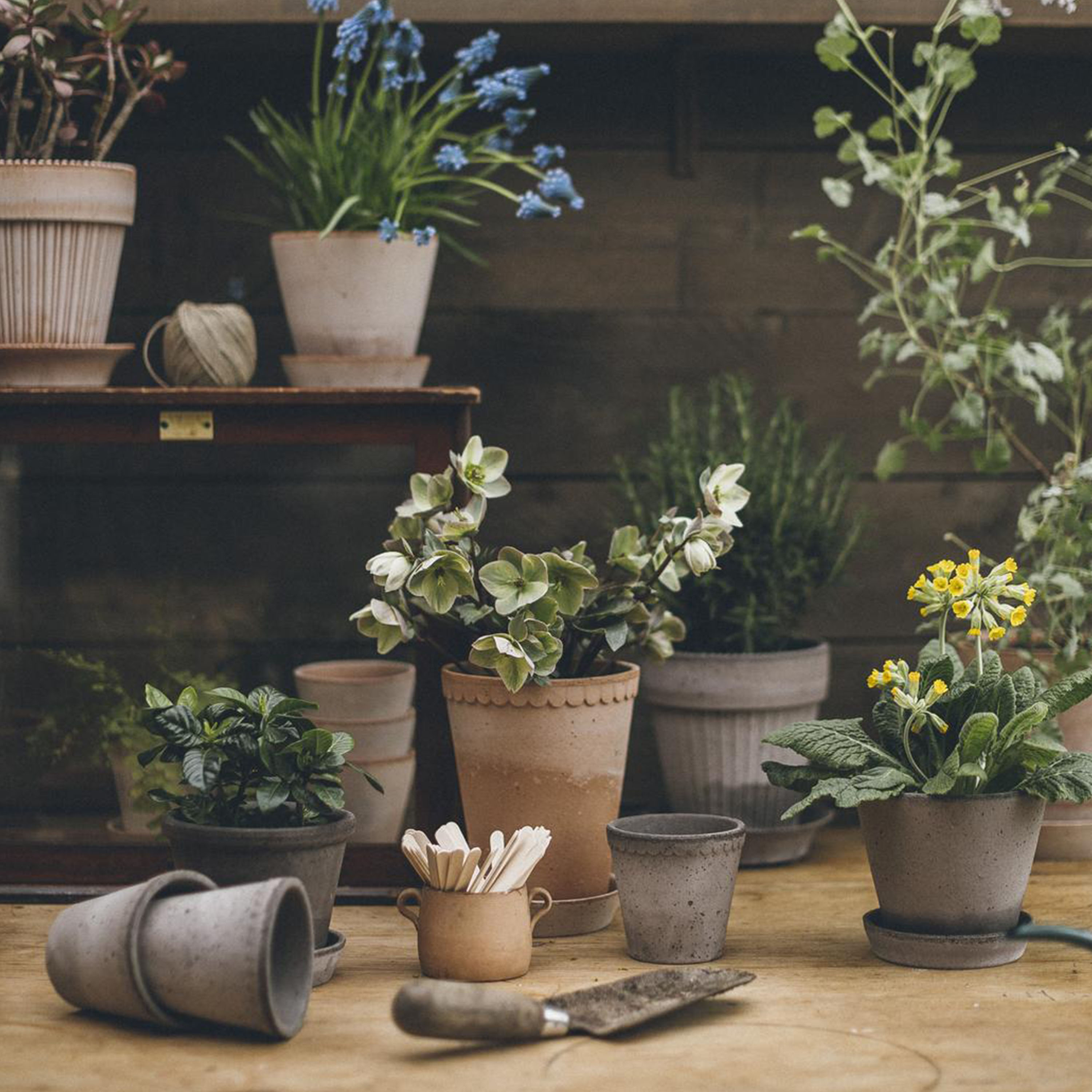 Bergs Potter Julie Kruka med fat Raw Grey Terracotta Ø45