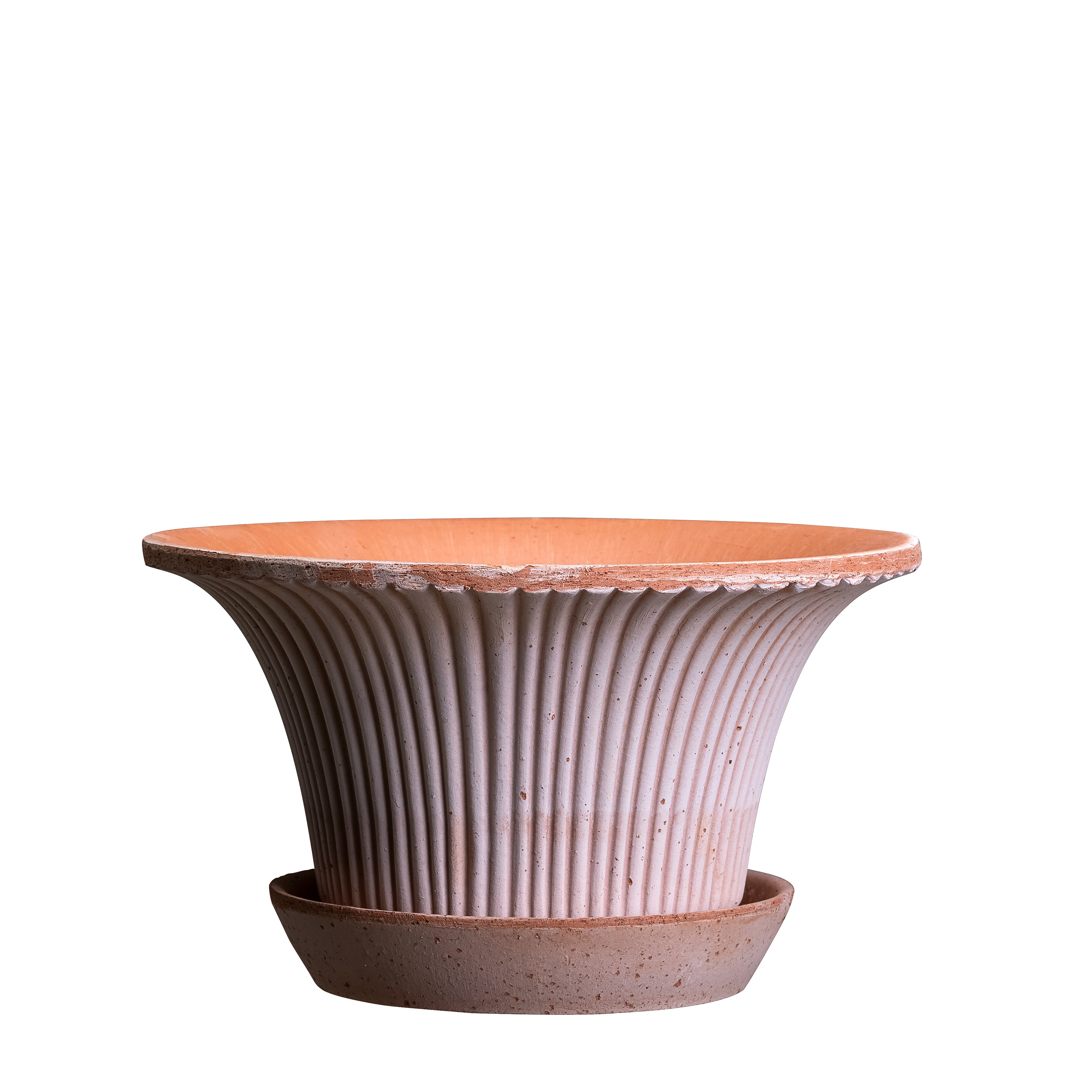 Daisy Kruka med fat Raw Rosa Terracotta Ø25