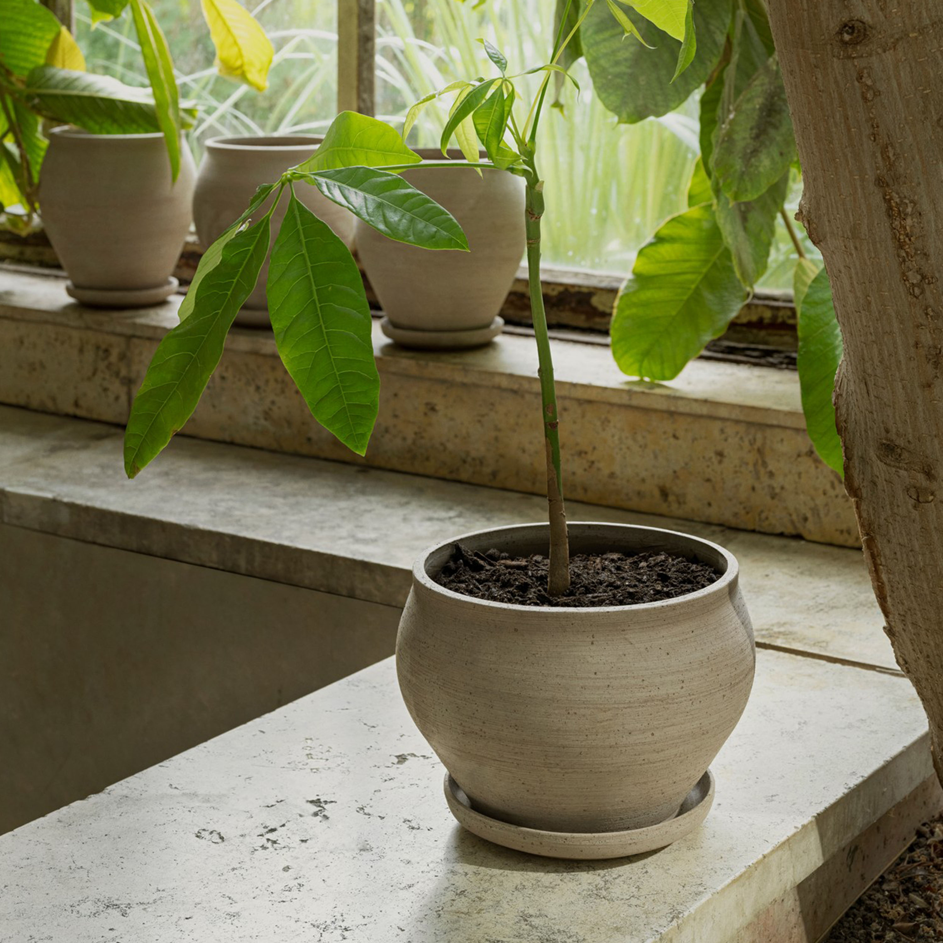 Bergs Potter Delphi Ruukku aluslautasella Raw Grey Low Ø24