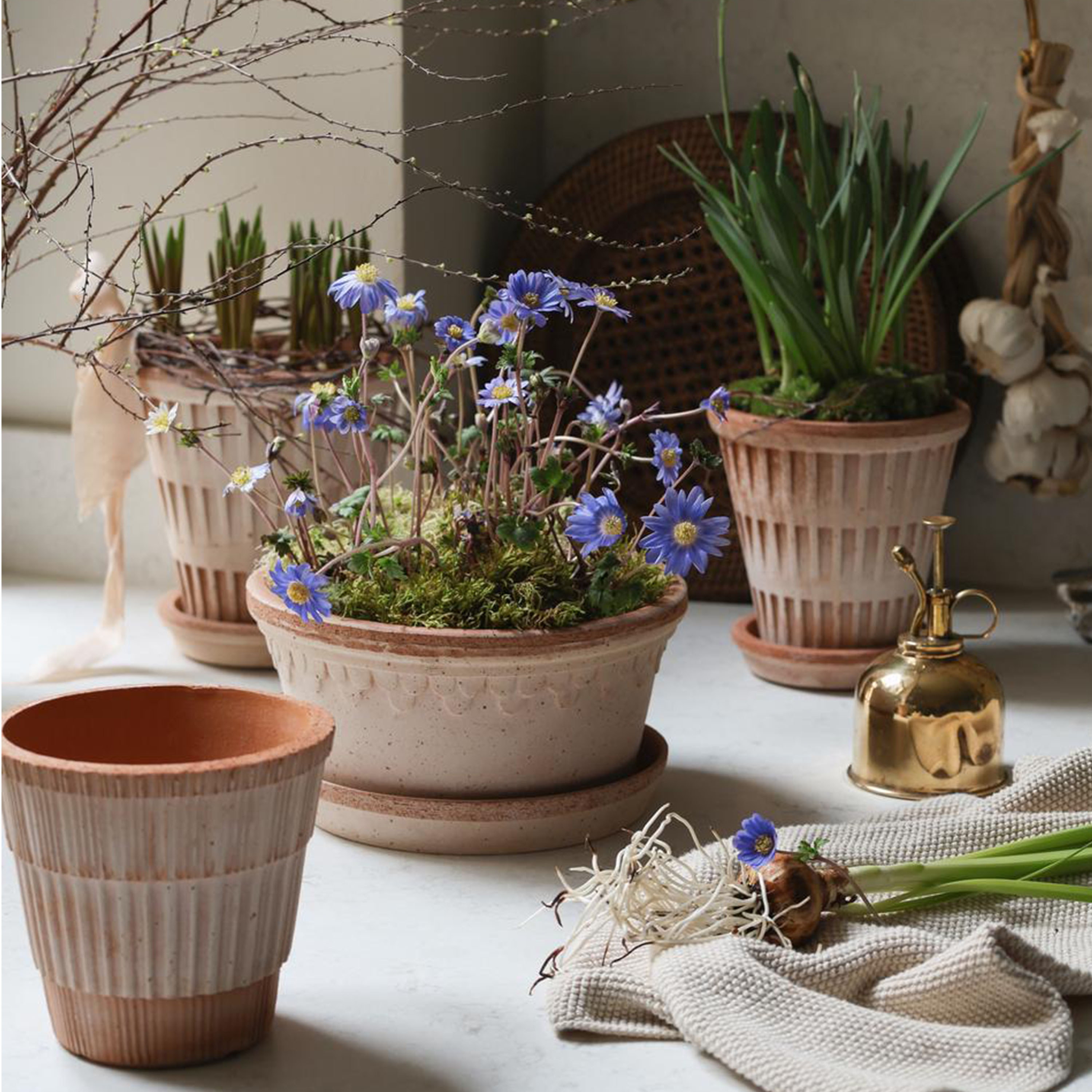 Bergs Potter Atlas Krukke Raw Rosa Terrakotta Ø18