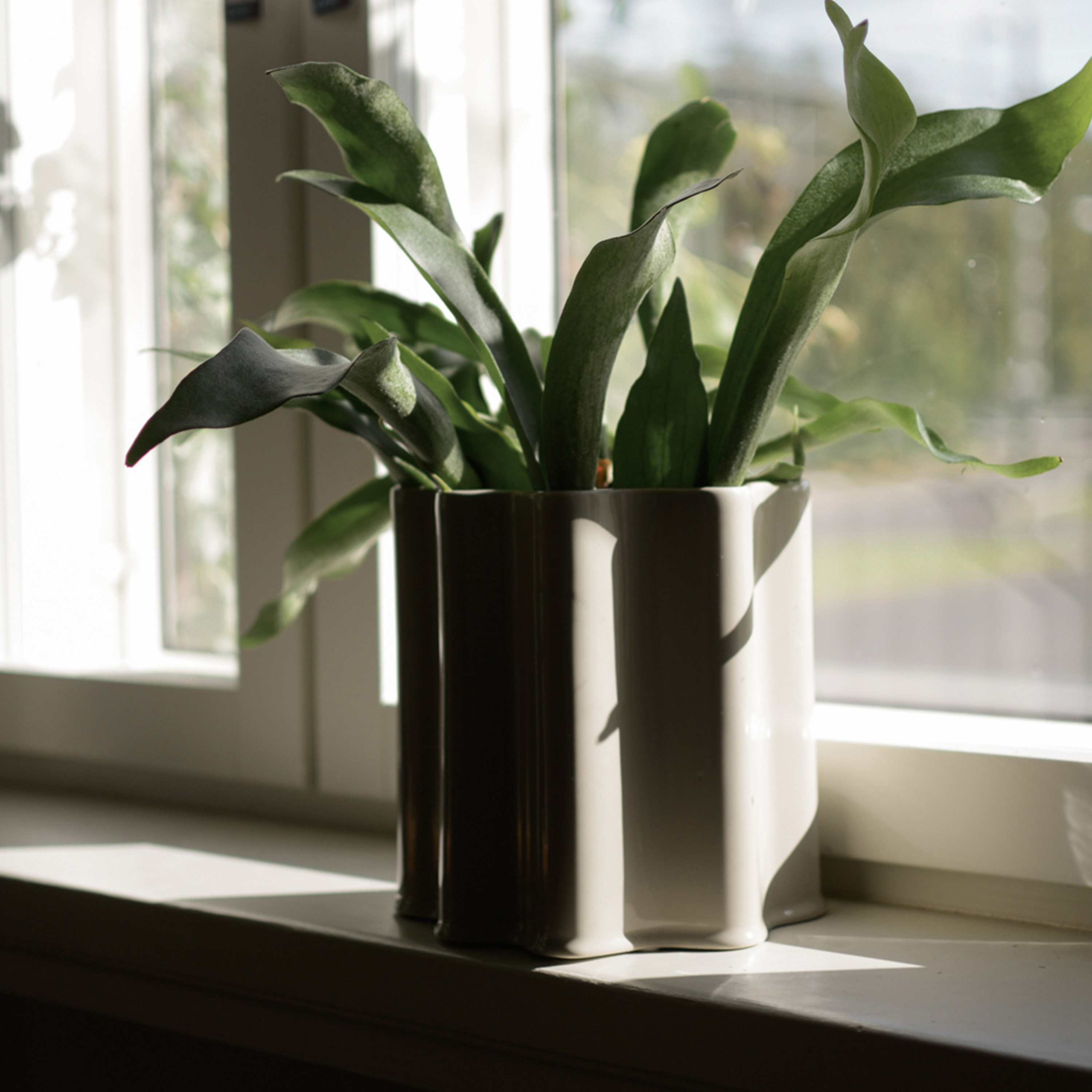 DBKD Filter Kruka Shiny Mole Large