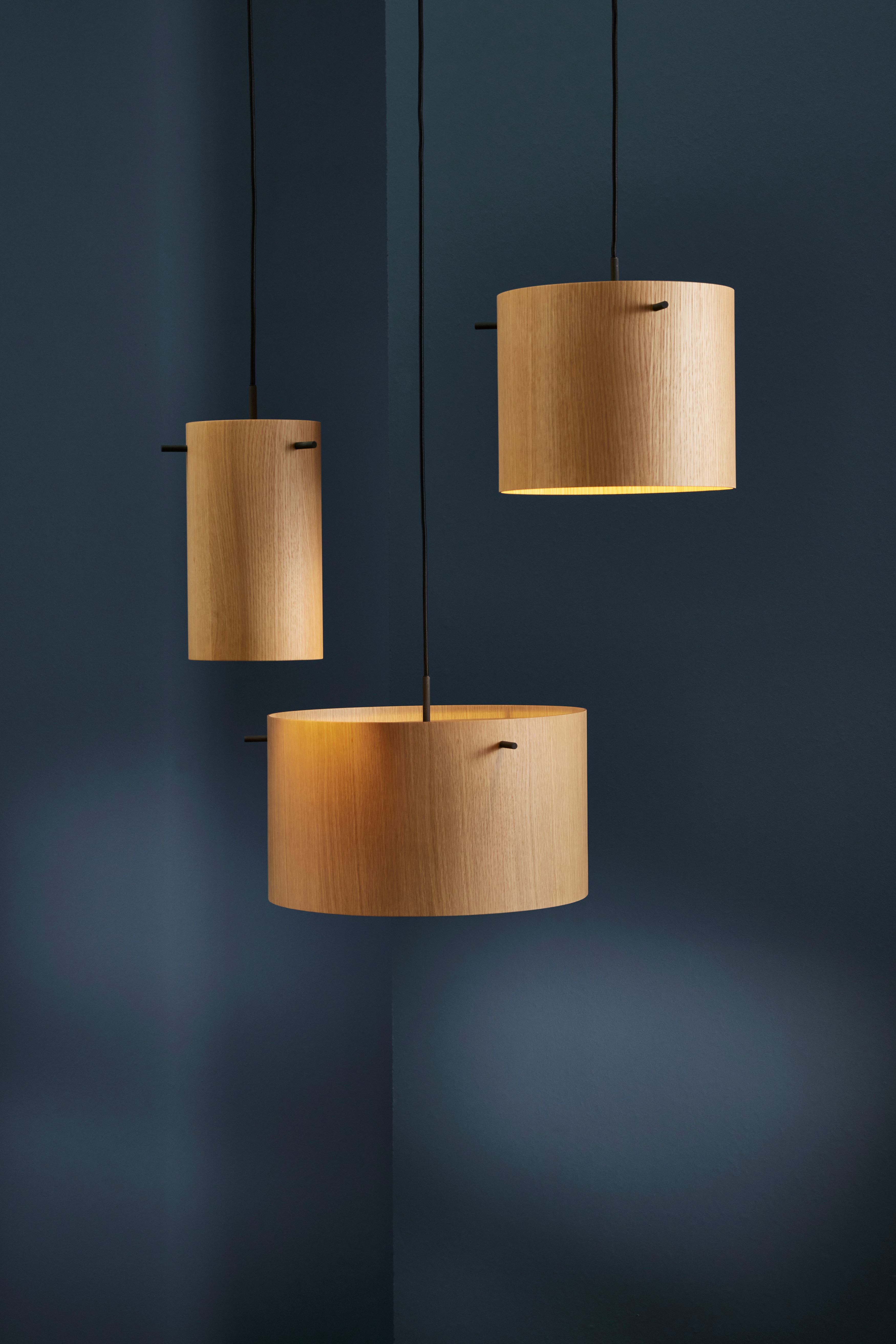 Frandsen FM 1954 Riippuvalaisin Tammi Ø28