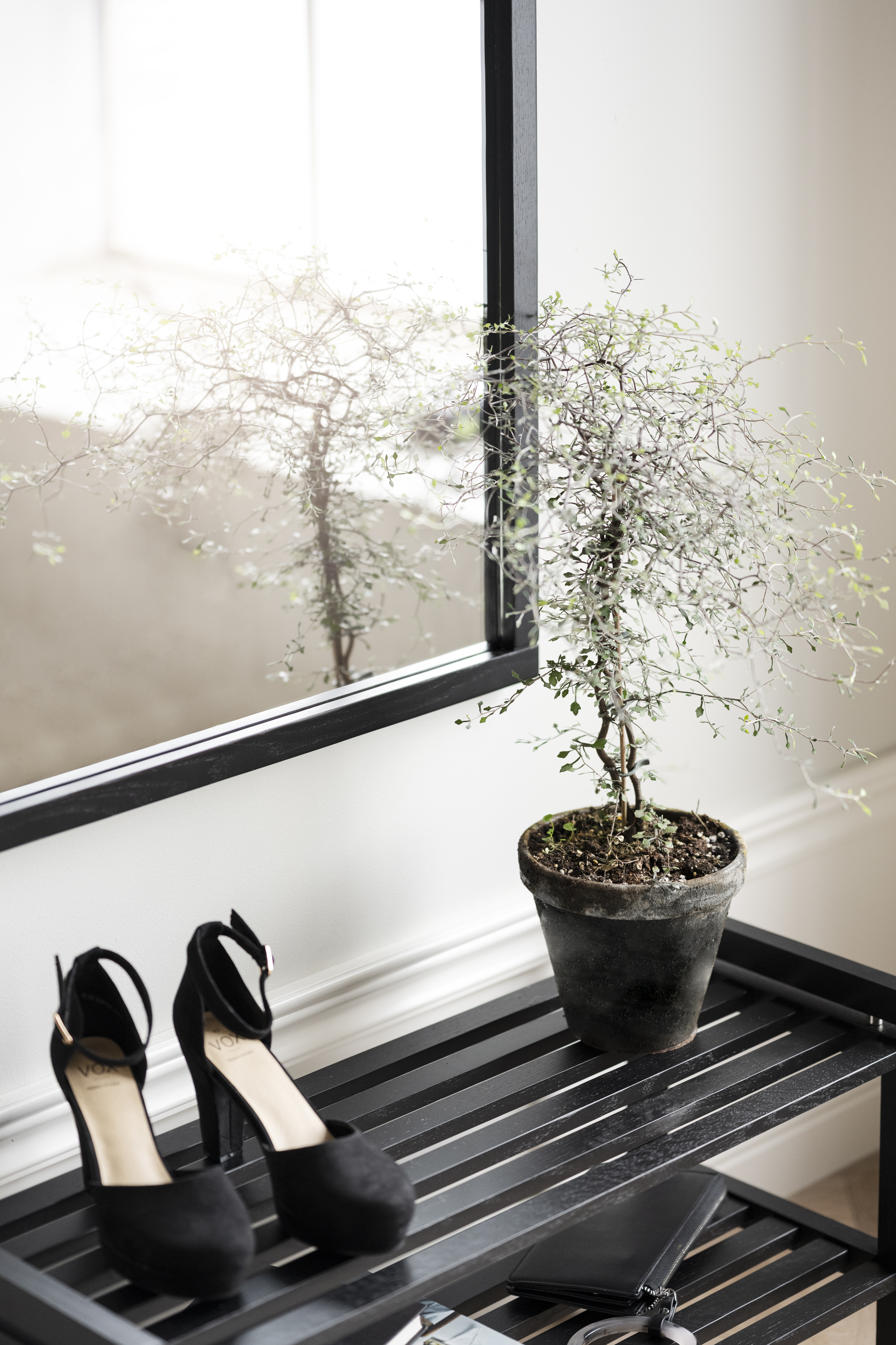 Rowico Home Confetti Skohylla Svart 80cm