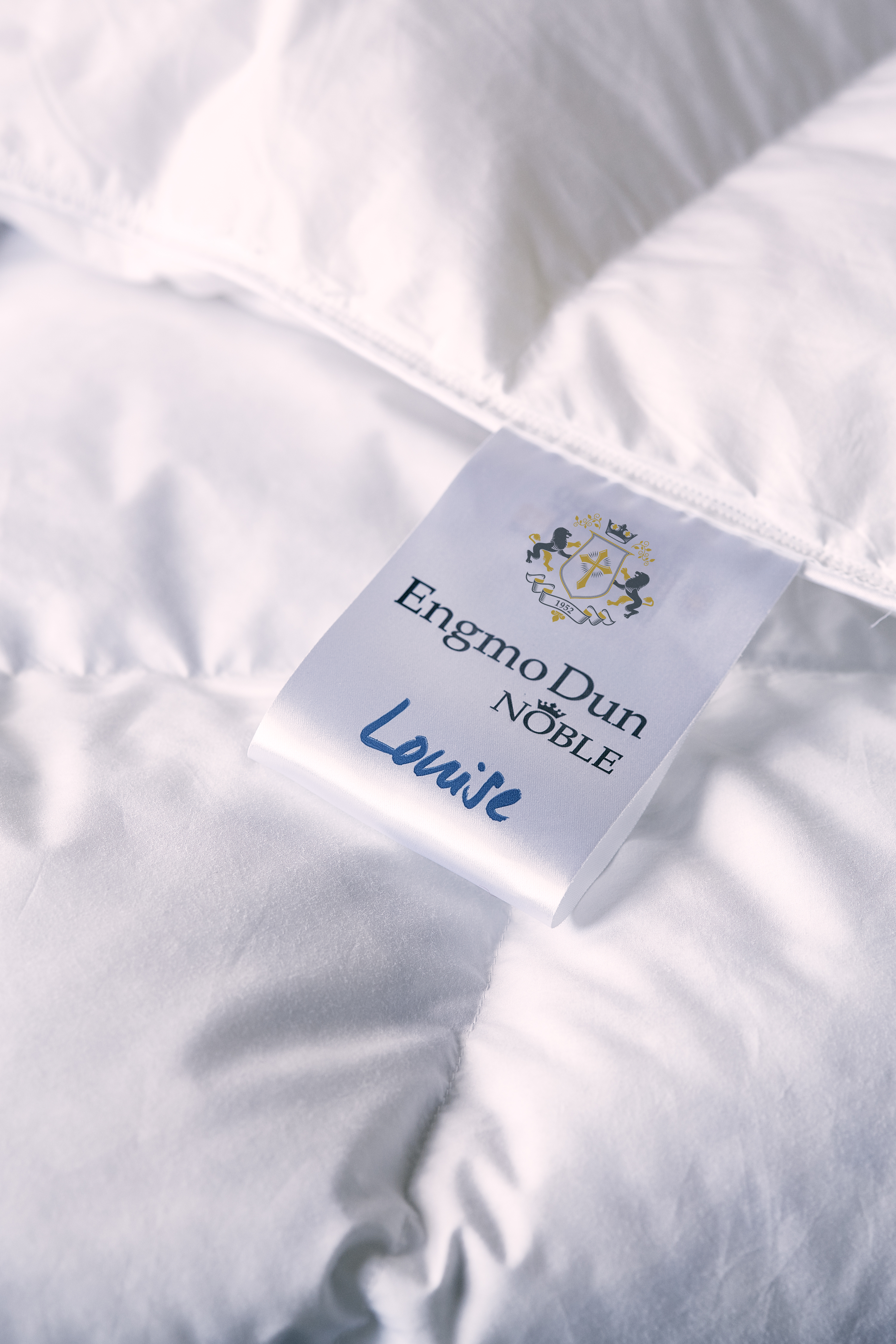 Engmo Dun Louise Dundyne Jeg fryser av og til 150x210