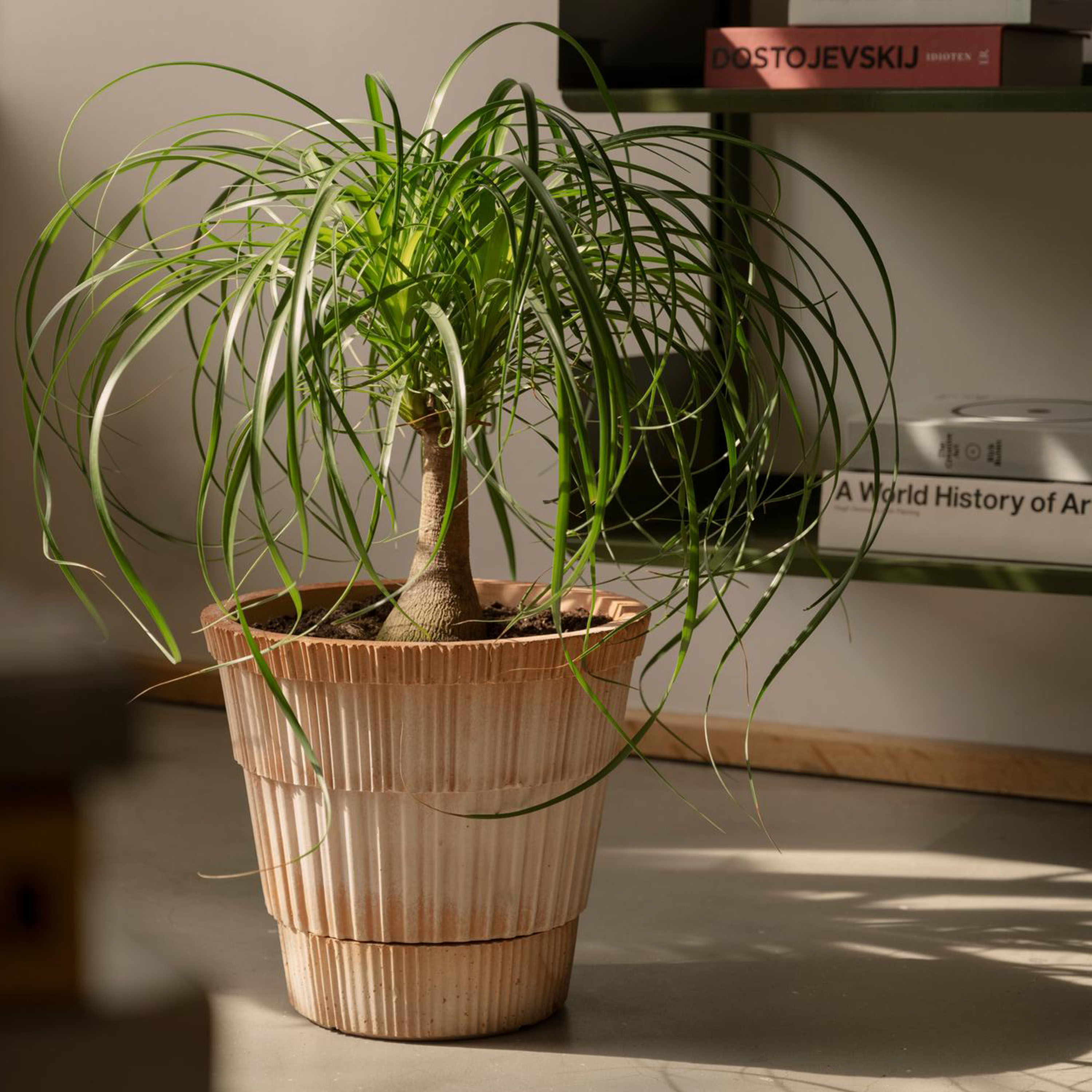 Bergs Potter Atlas Topf Raw Rosa Terrakotta Ø21