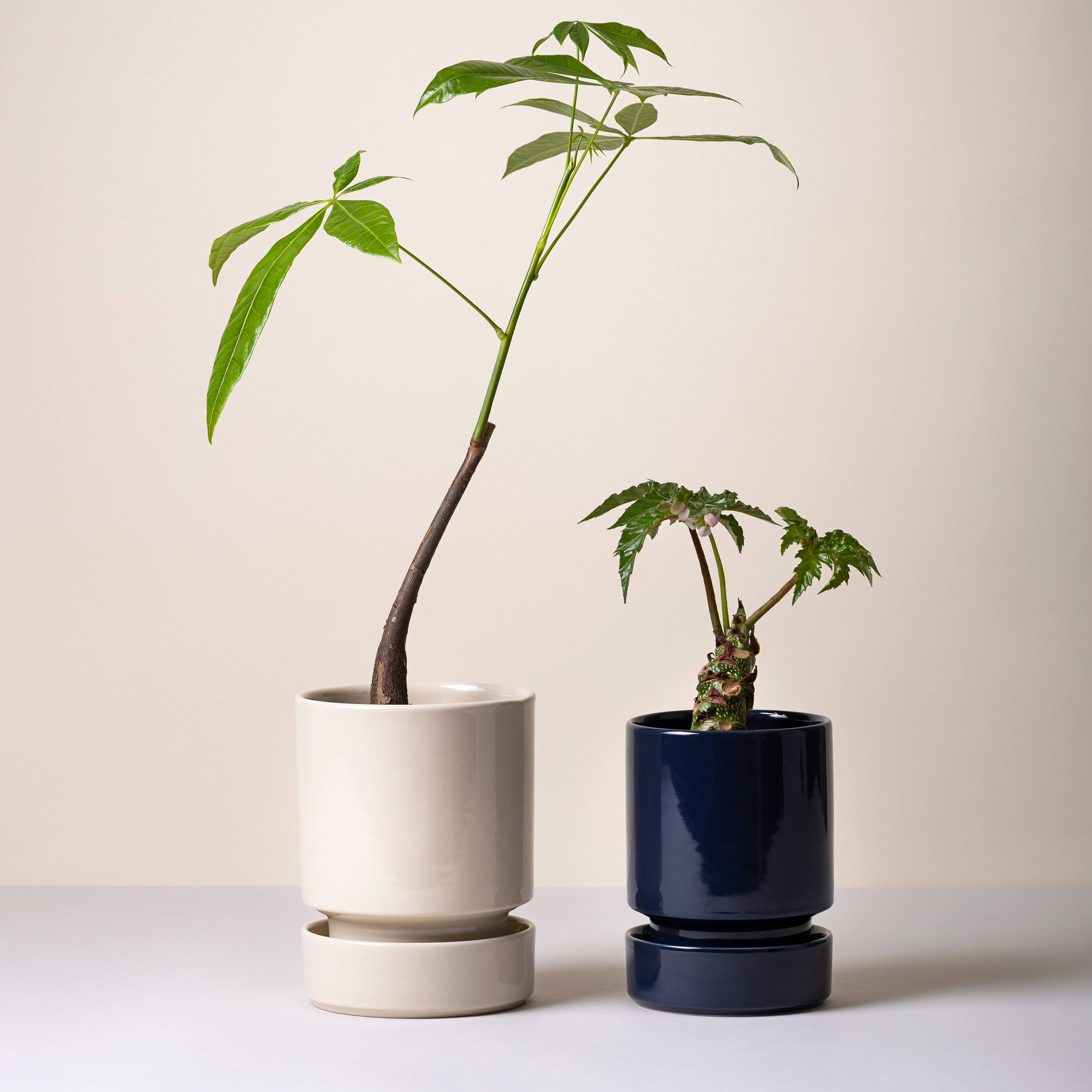 Bergs Potter Hoff Topf mit Untersetzer glasiert Sapphire Blue Ø14