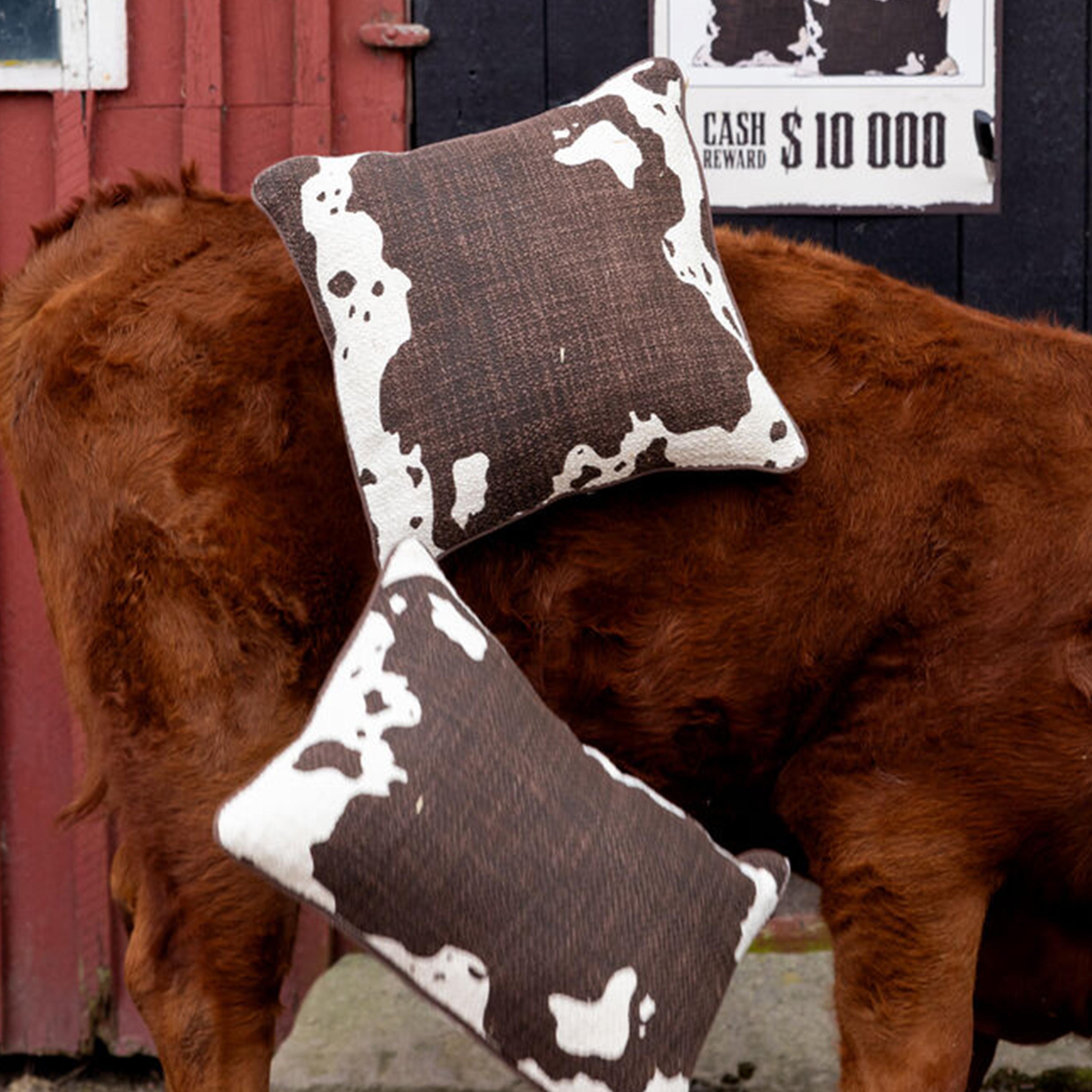 Byon Anima Kudde Cow 40x60