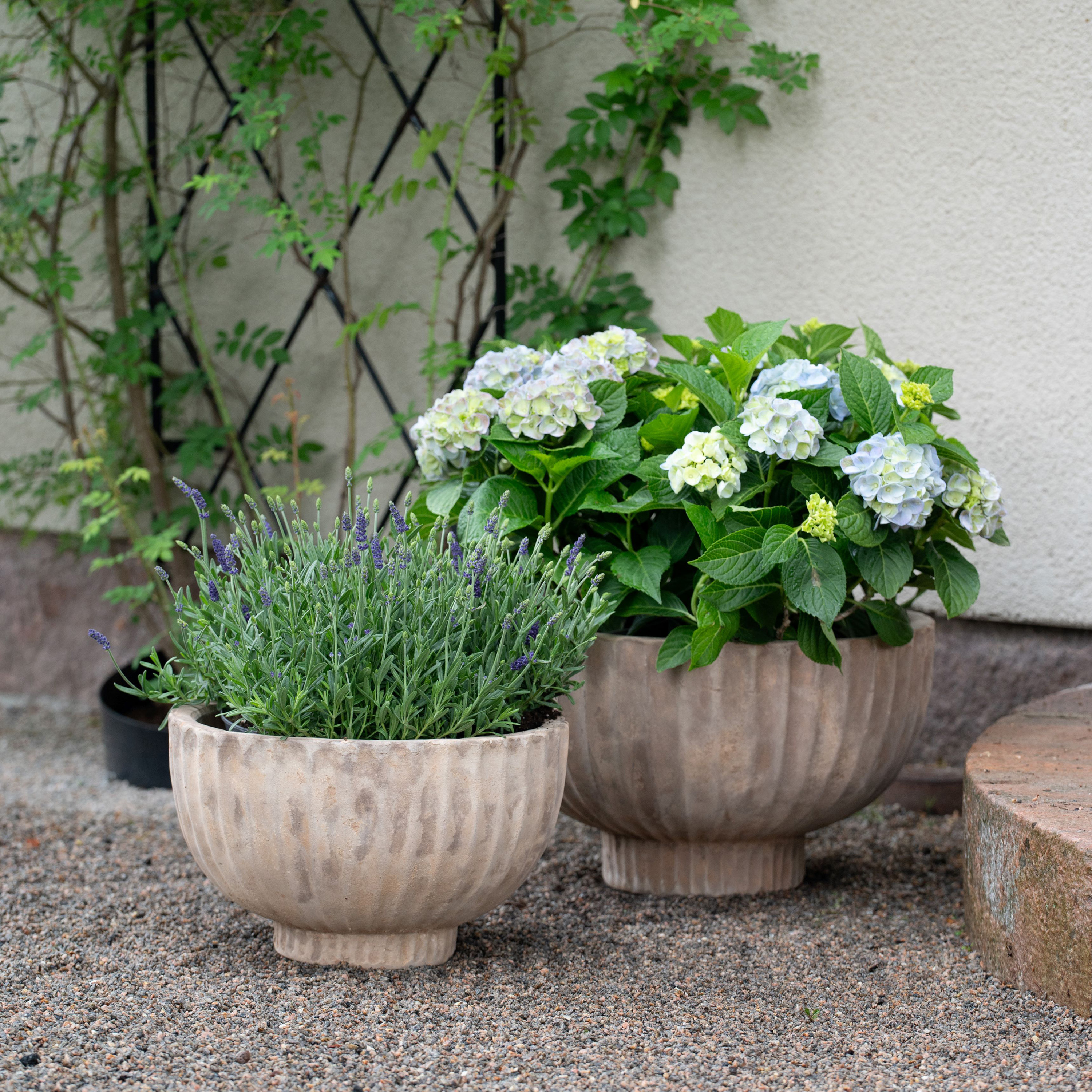 Wikholm Form Fedora Kruka Antik Terrakotta 3-pack