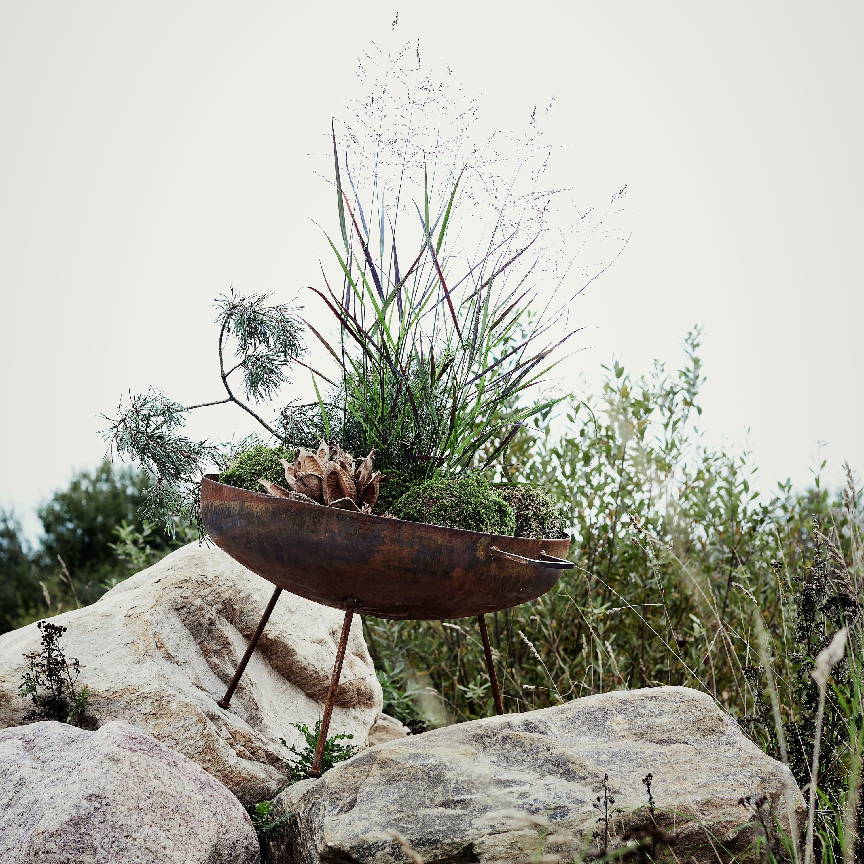 Muubs Sabi Tulipesä Rusted Iron Ø64