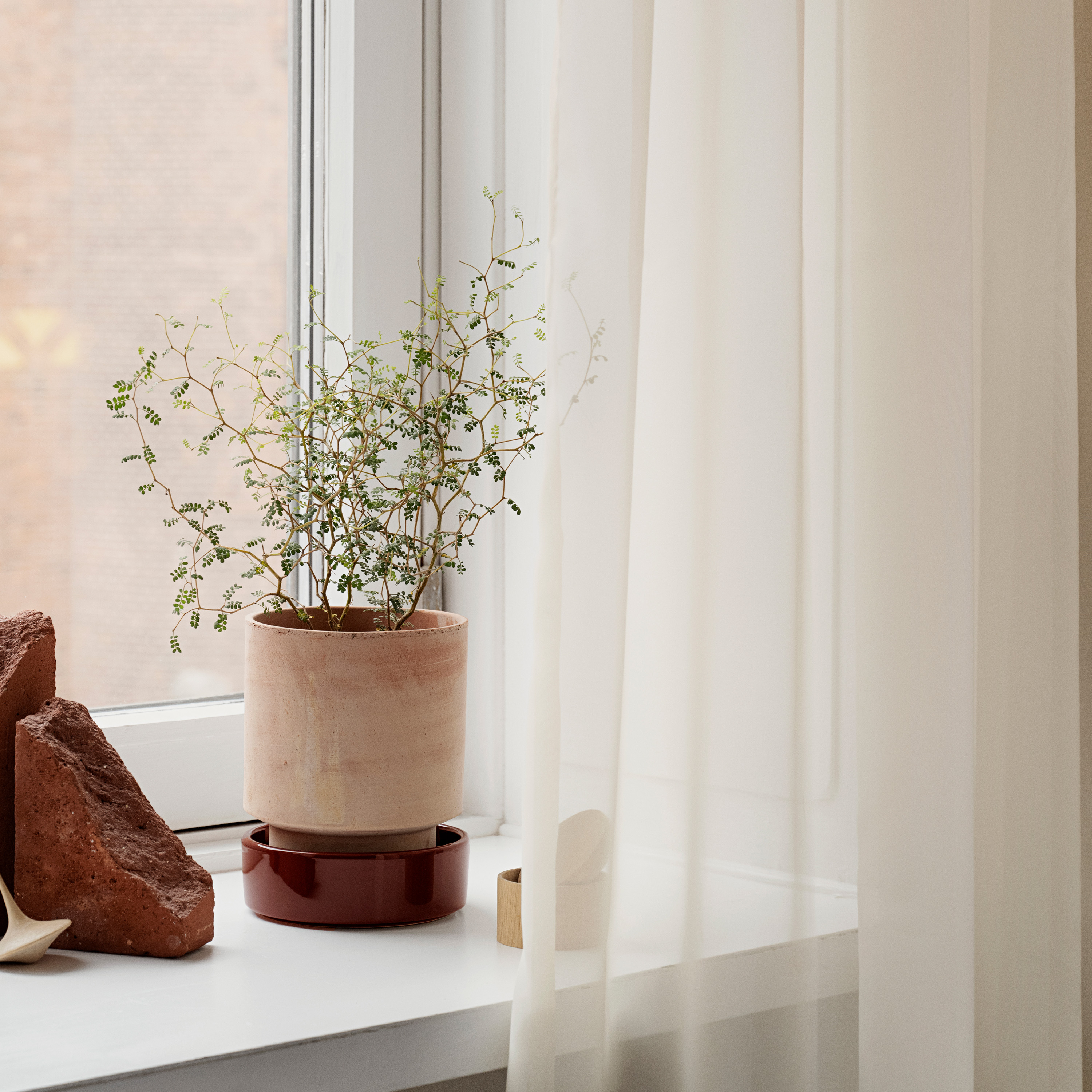 Bergs Potter Hoff Topf mit Untersetzer Raw Rosa/Glasiert Deep Burgundy Ø16