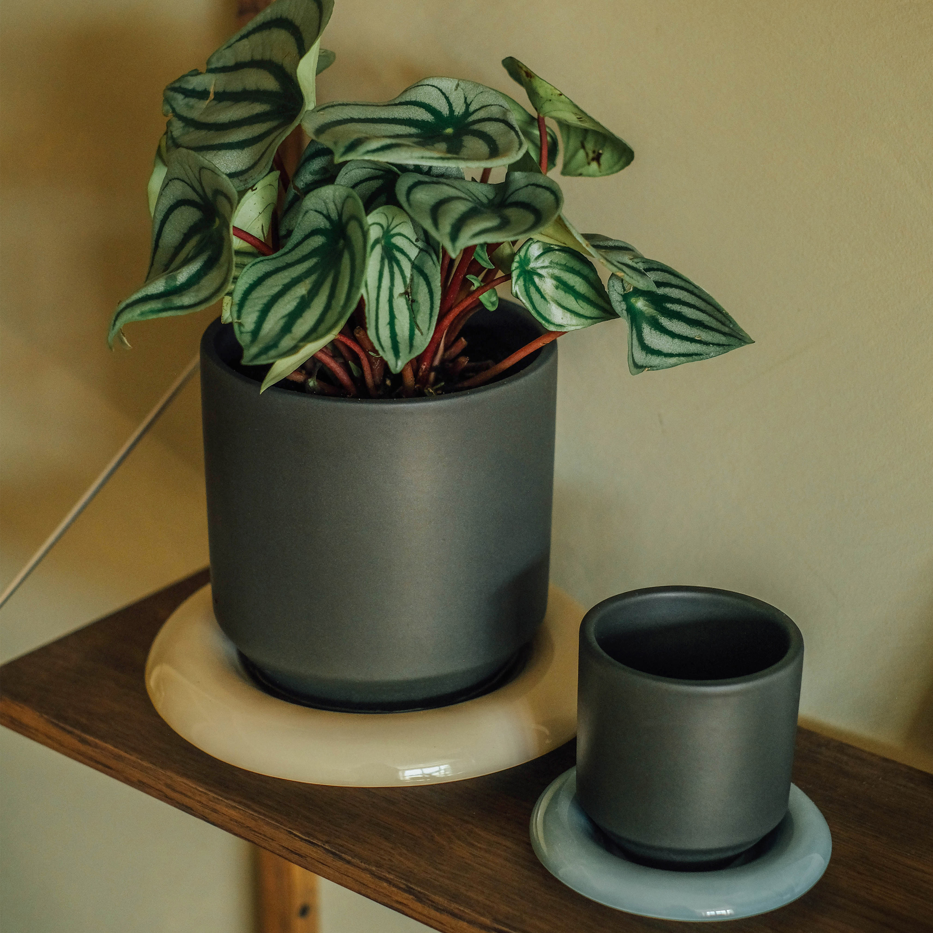 Bergs Potter Lily Untersetzer glasiert Misty Blue Ø21