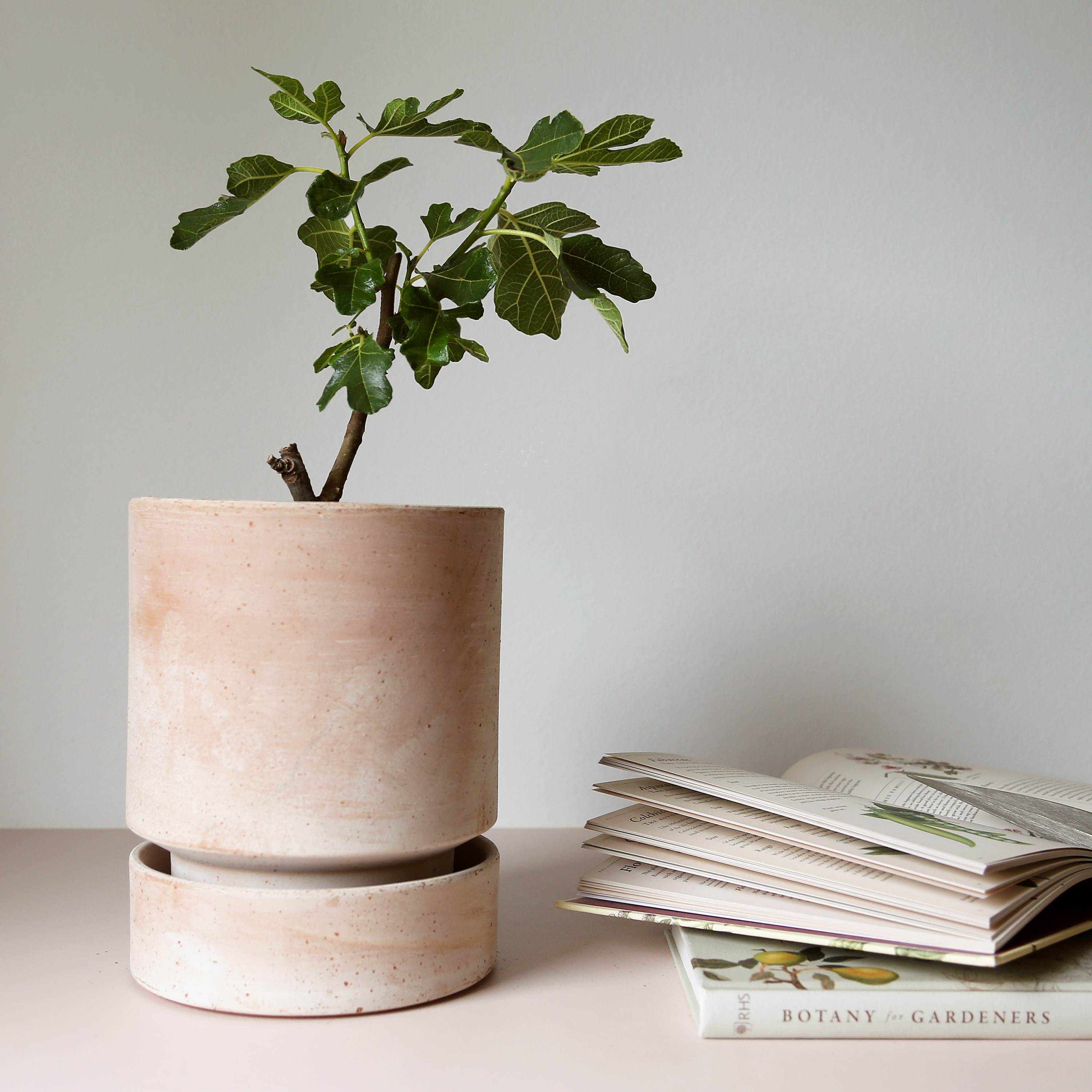 Bergs Potter Hoff Topf Raw Rosa Terrakotta Ø30