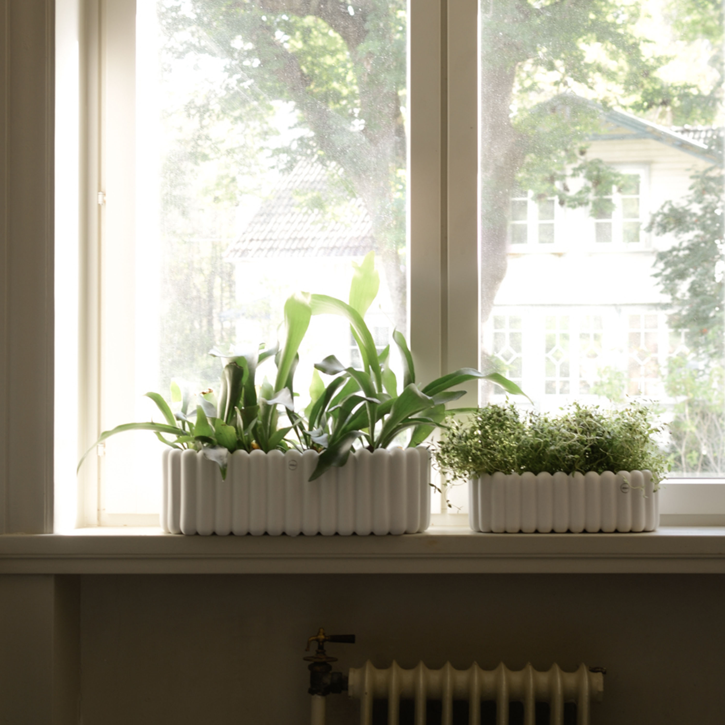 DBKD Mist Oval Kruka White Small