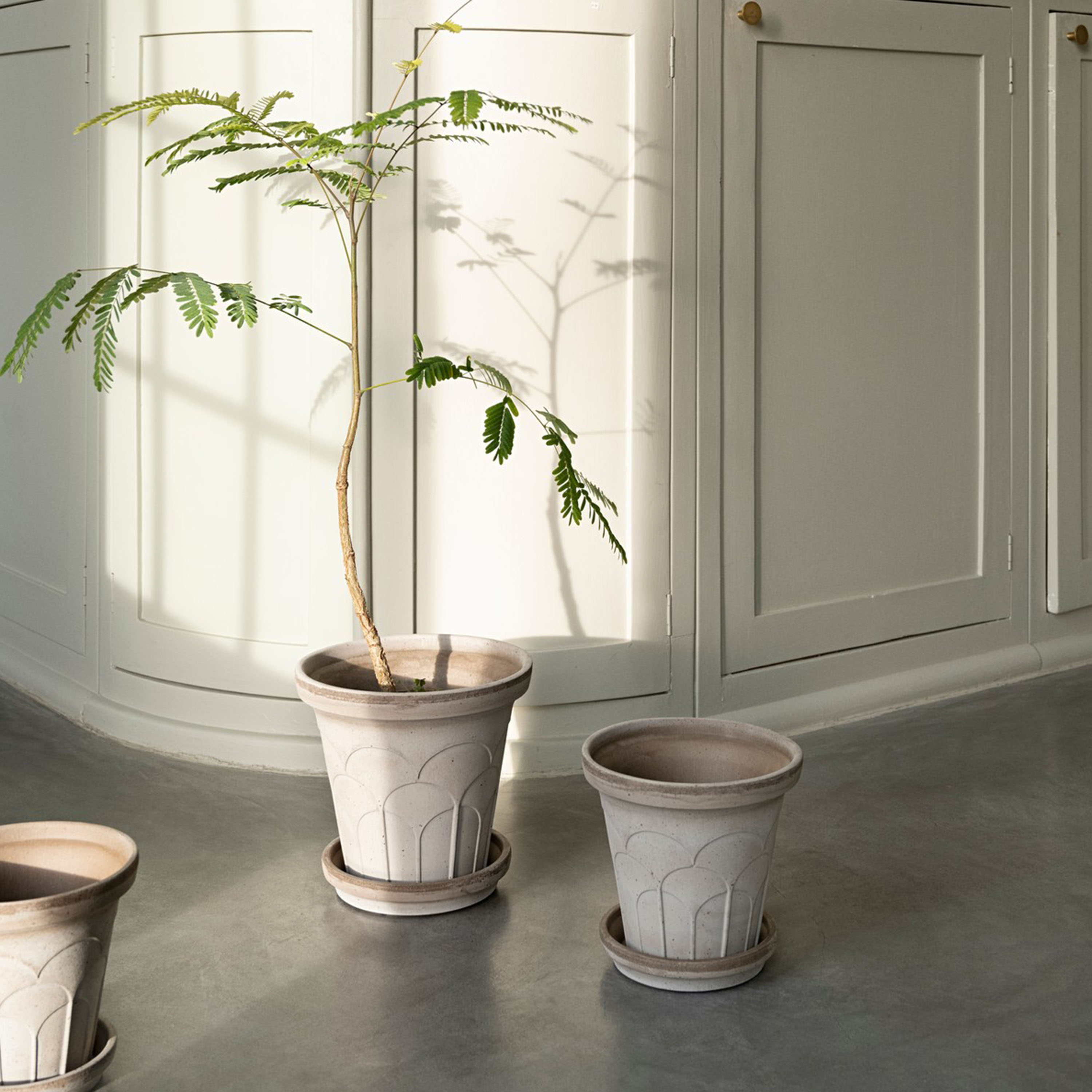 Bergs Potter Fleur Ruukku aluslautasella Raw Grey Ø18