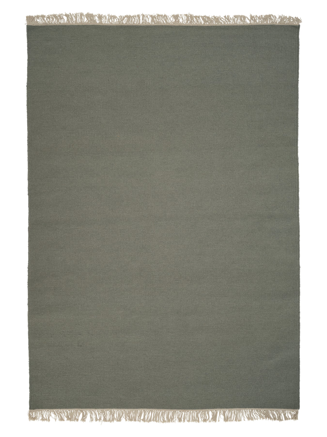 Rainbow Ullmatta Cactus 170x240