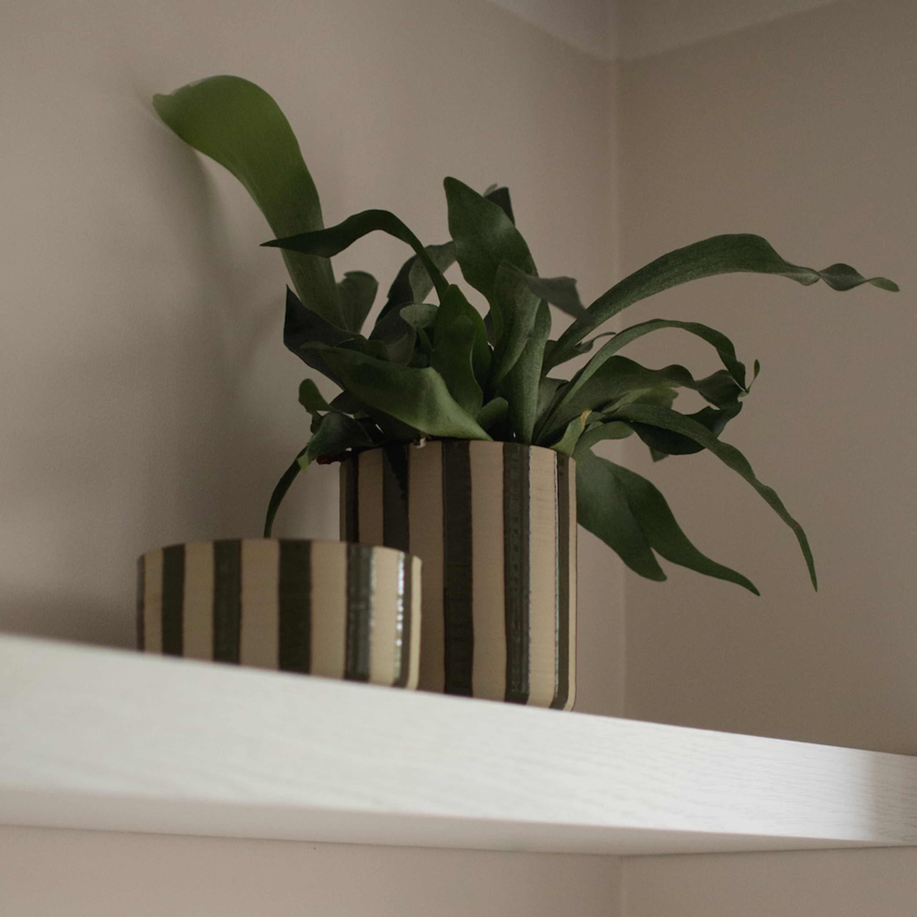 DBKD Line Krukke Stripe Grønn Ø14