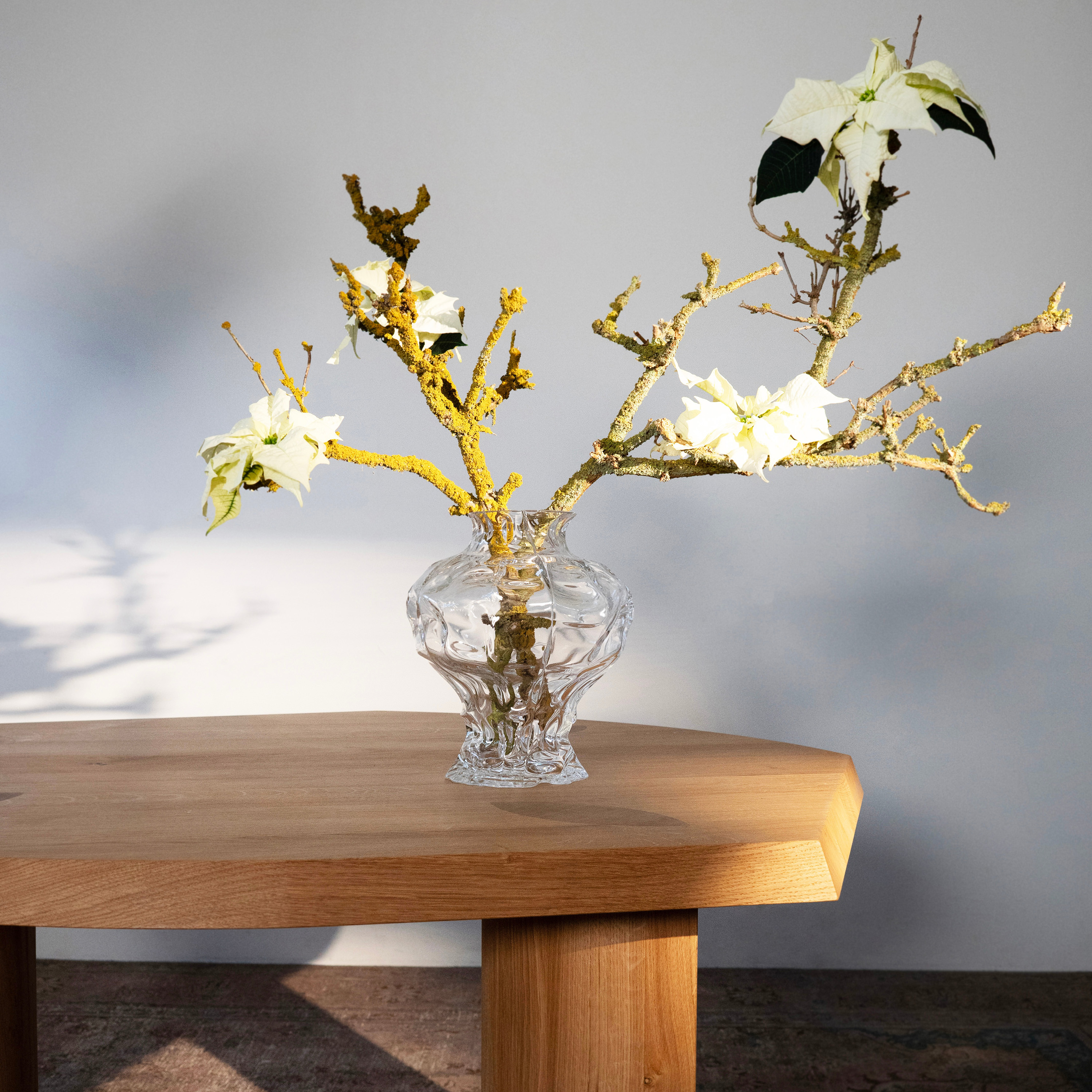 Hein Studio Ammonit Vase Clear Large