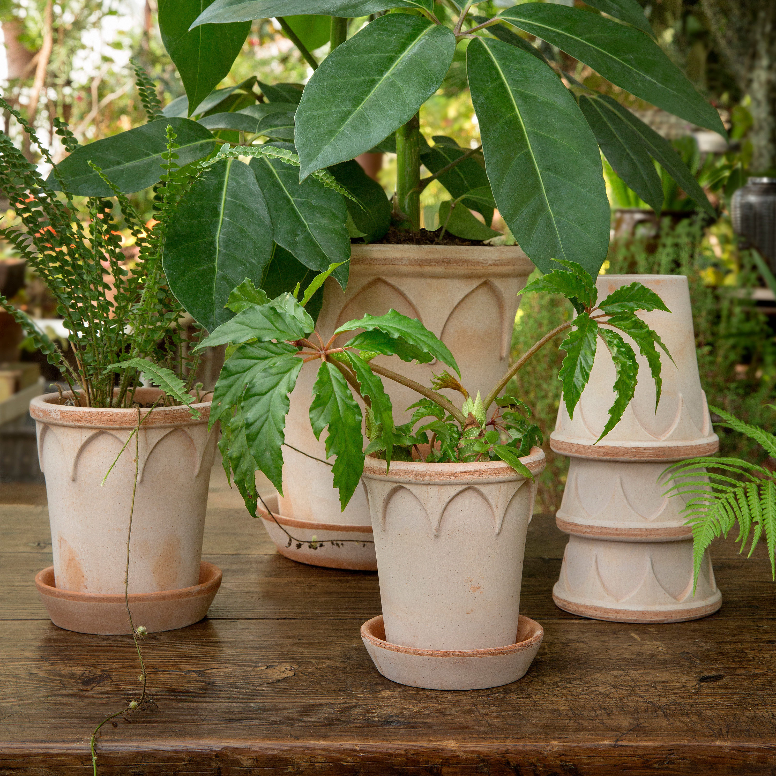 Bergs Potter Elizabeth Topf mit Untersetzer Raw Rosa Terrakotta Ø18