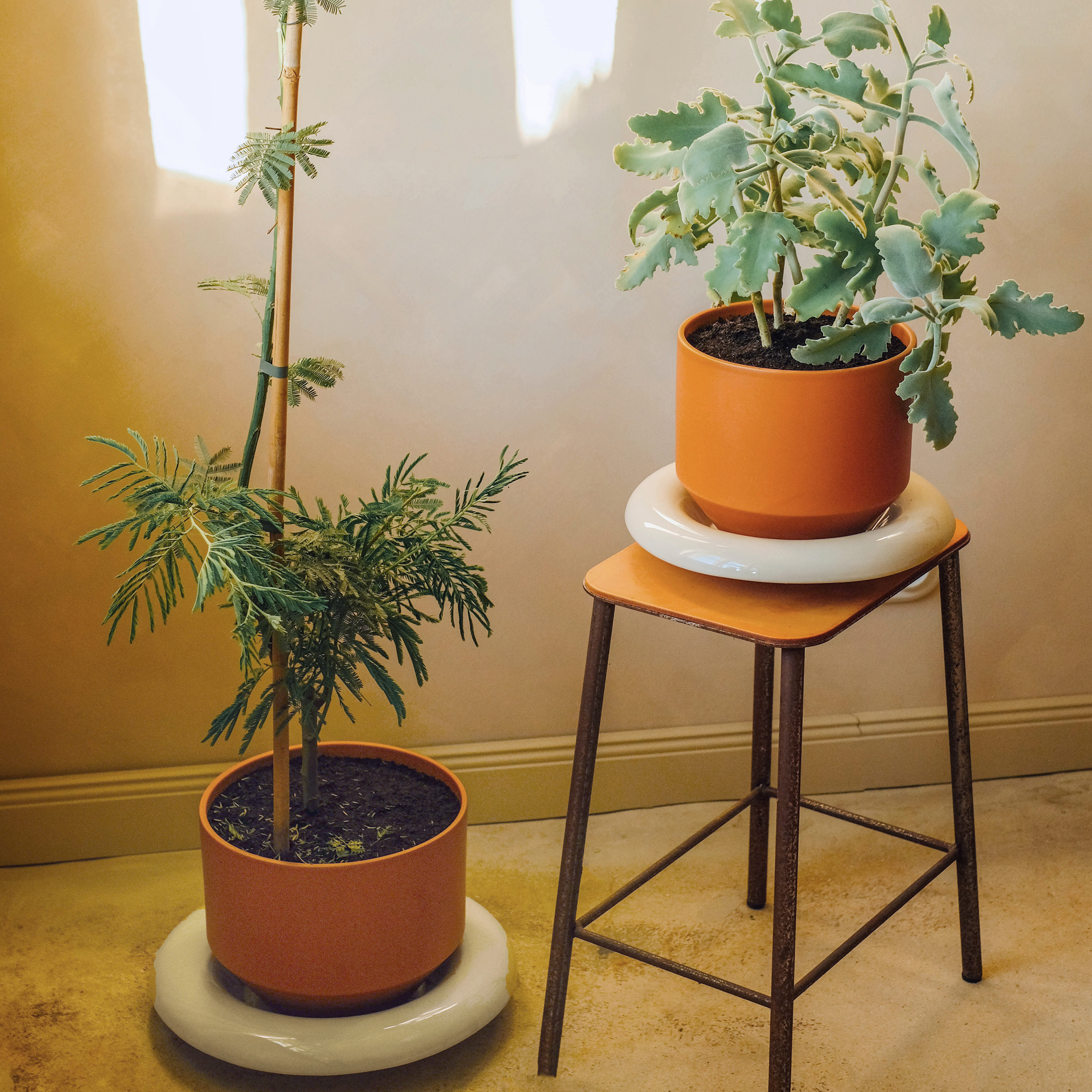 Bergs Potter Lily Untersetzer glasiert Sandstone Ø18