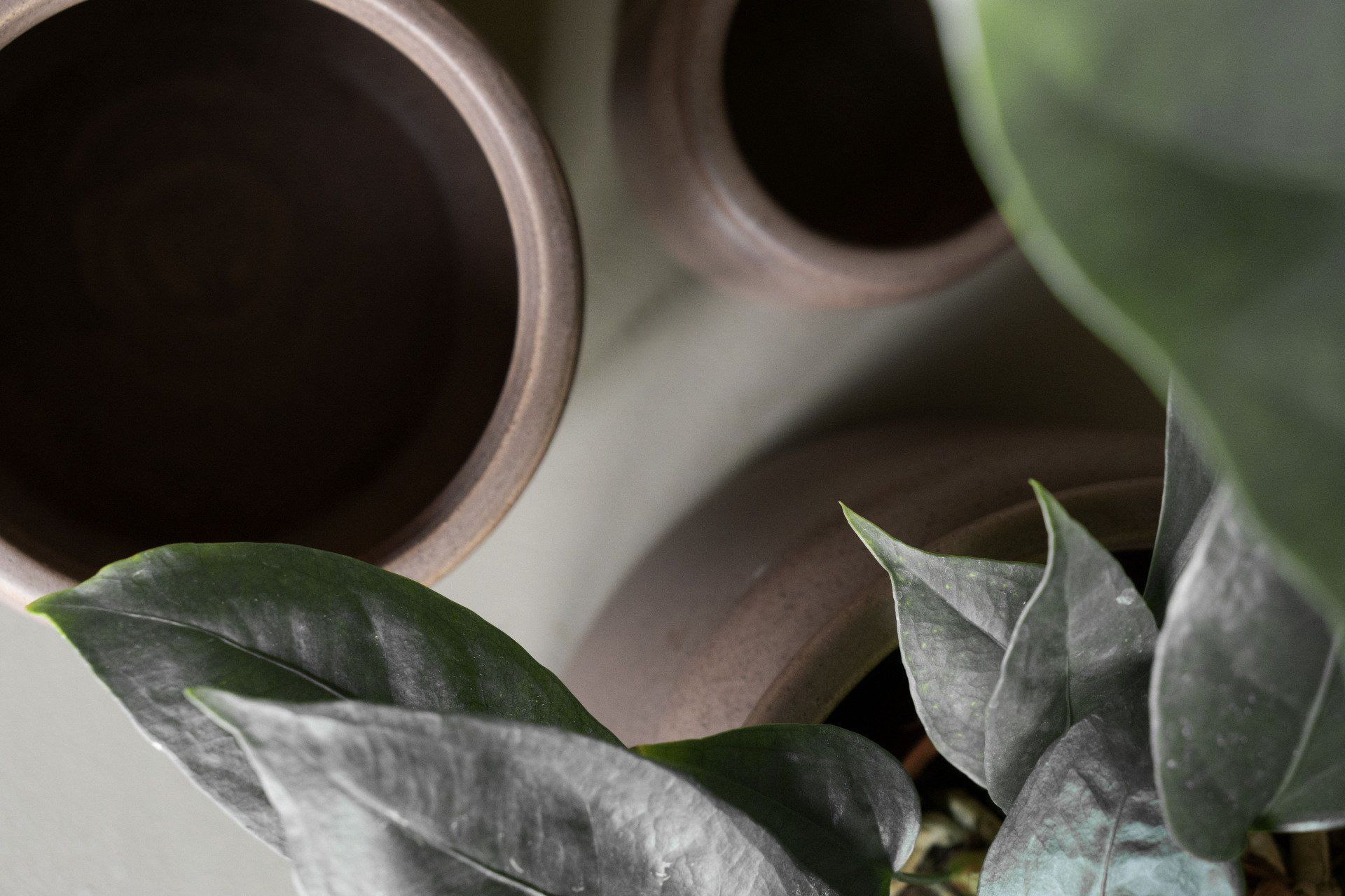 DBKD Pure Potte Brun Stor