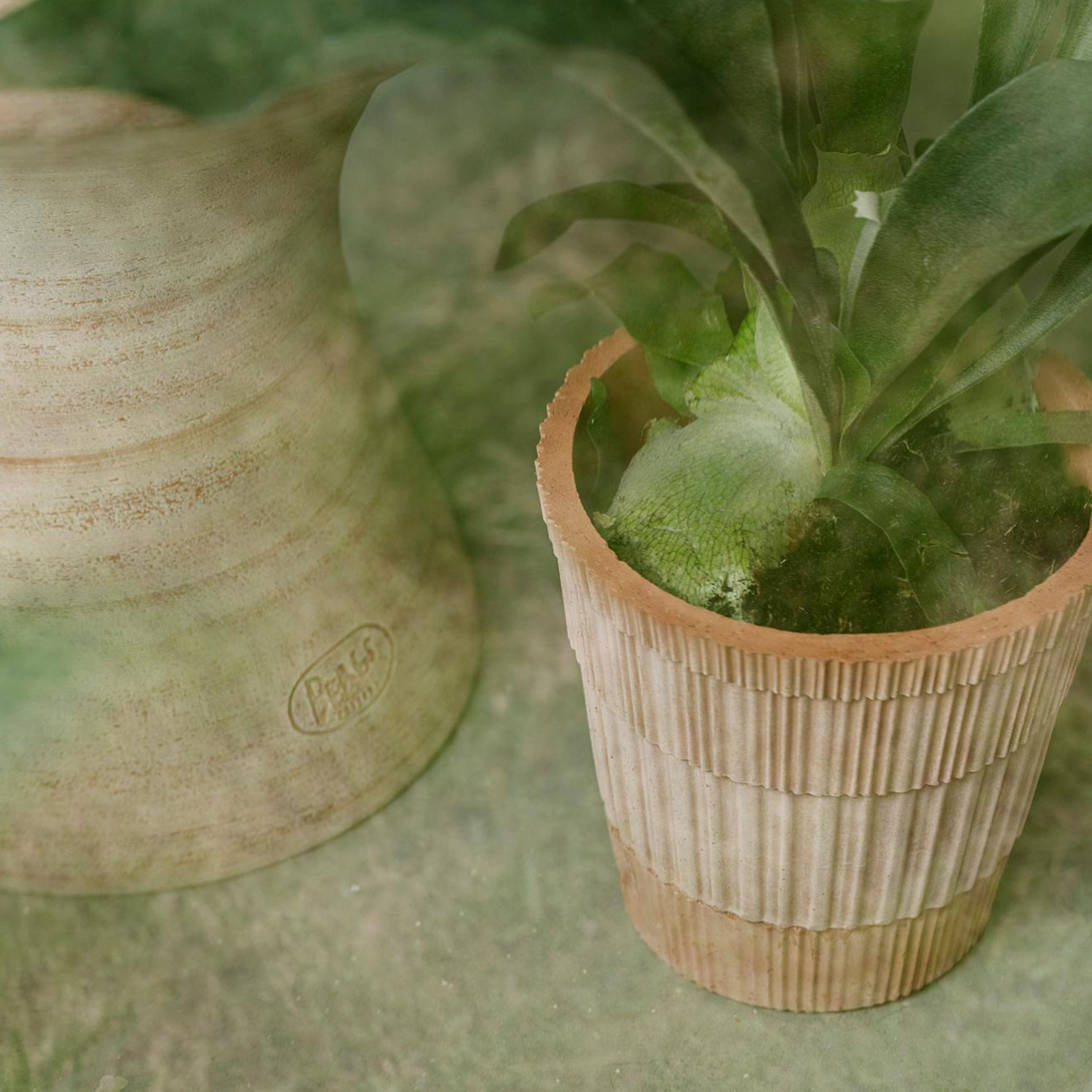 Bergs Potter Atlas Kruka Raw Rosa Terracotta Ø25