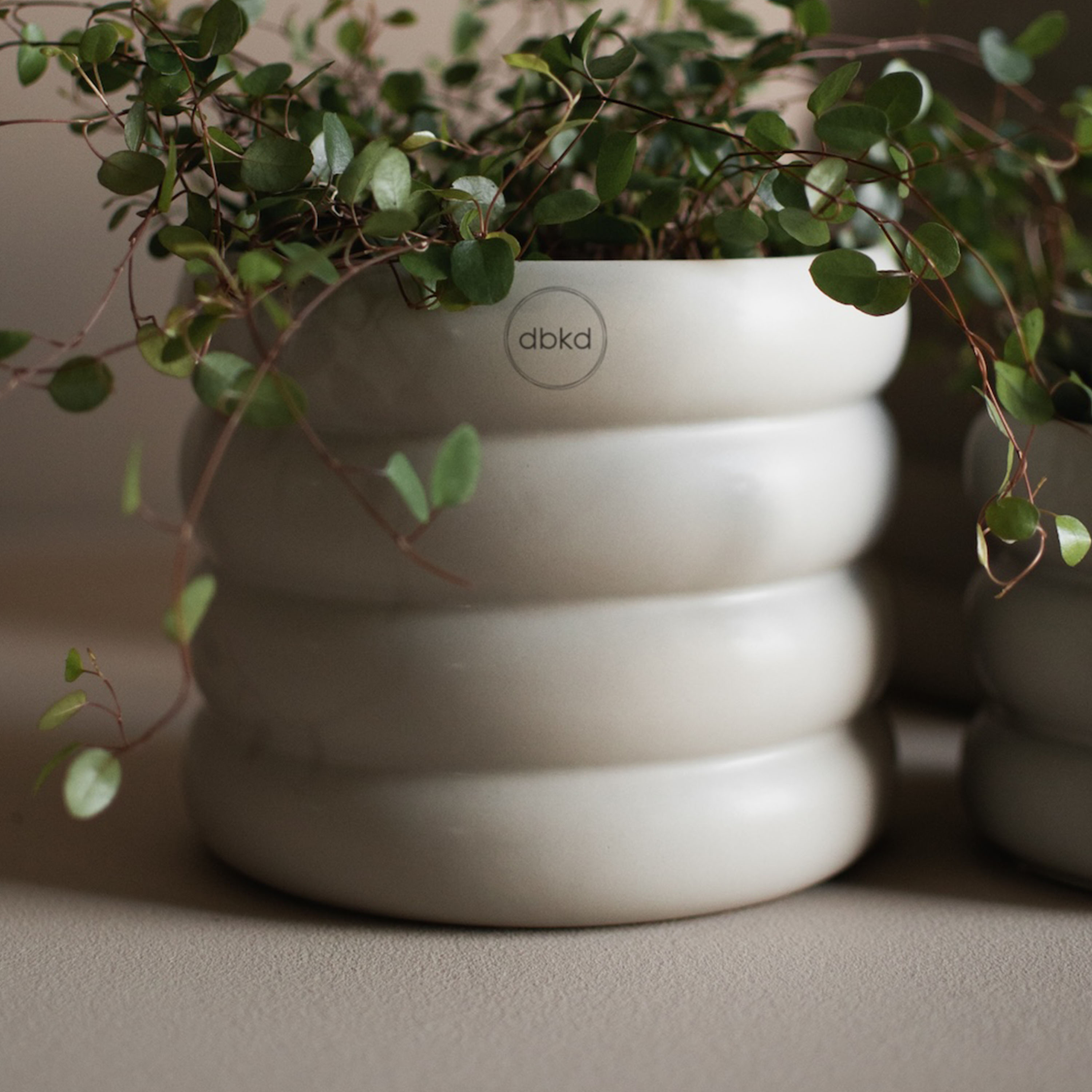 DBKD Mud Kruka Mole Medium