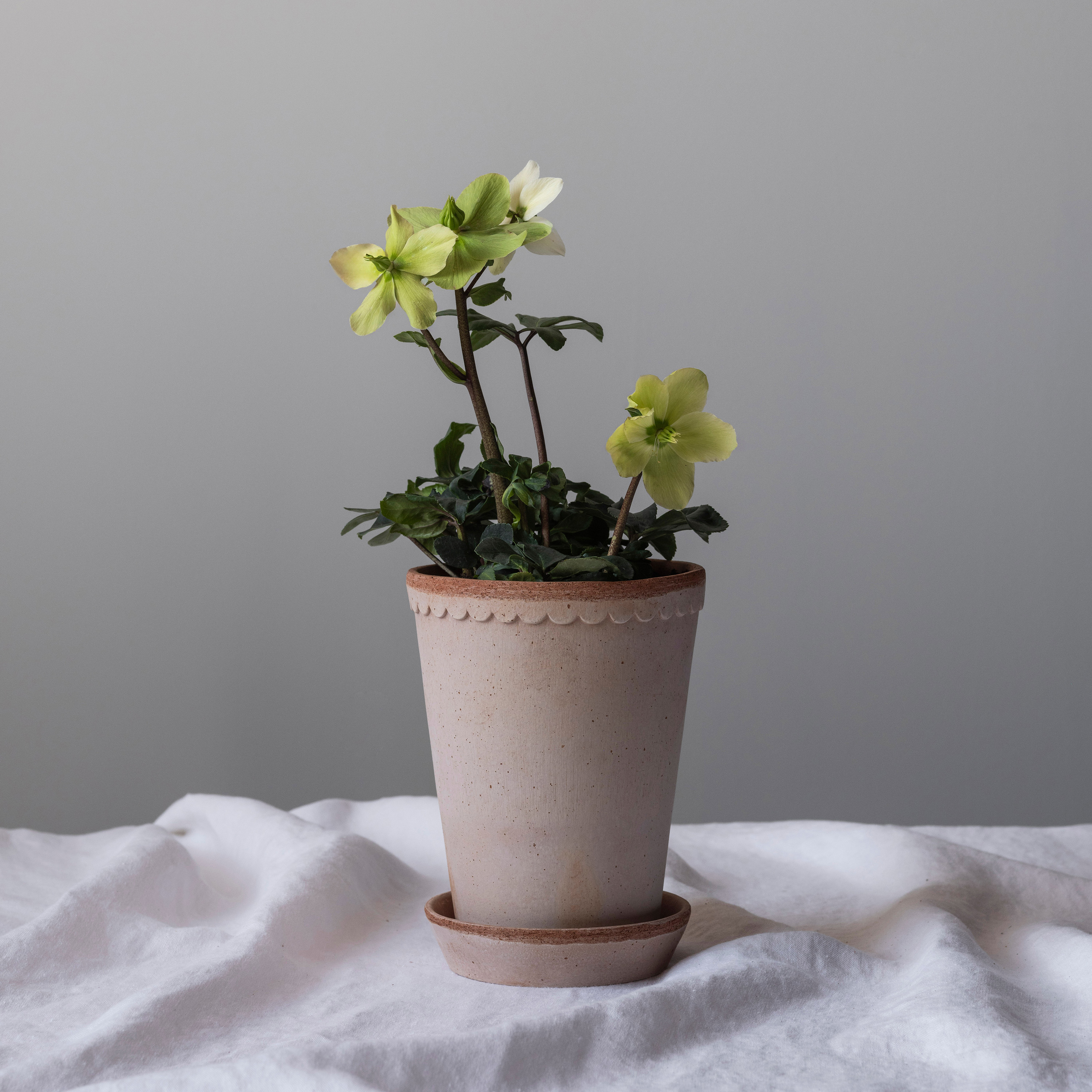 Bergs Potter Københavner Tall Topf mit Untersetzer Raw Rosa Terrakotta Ø18