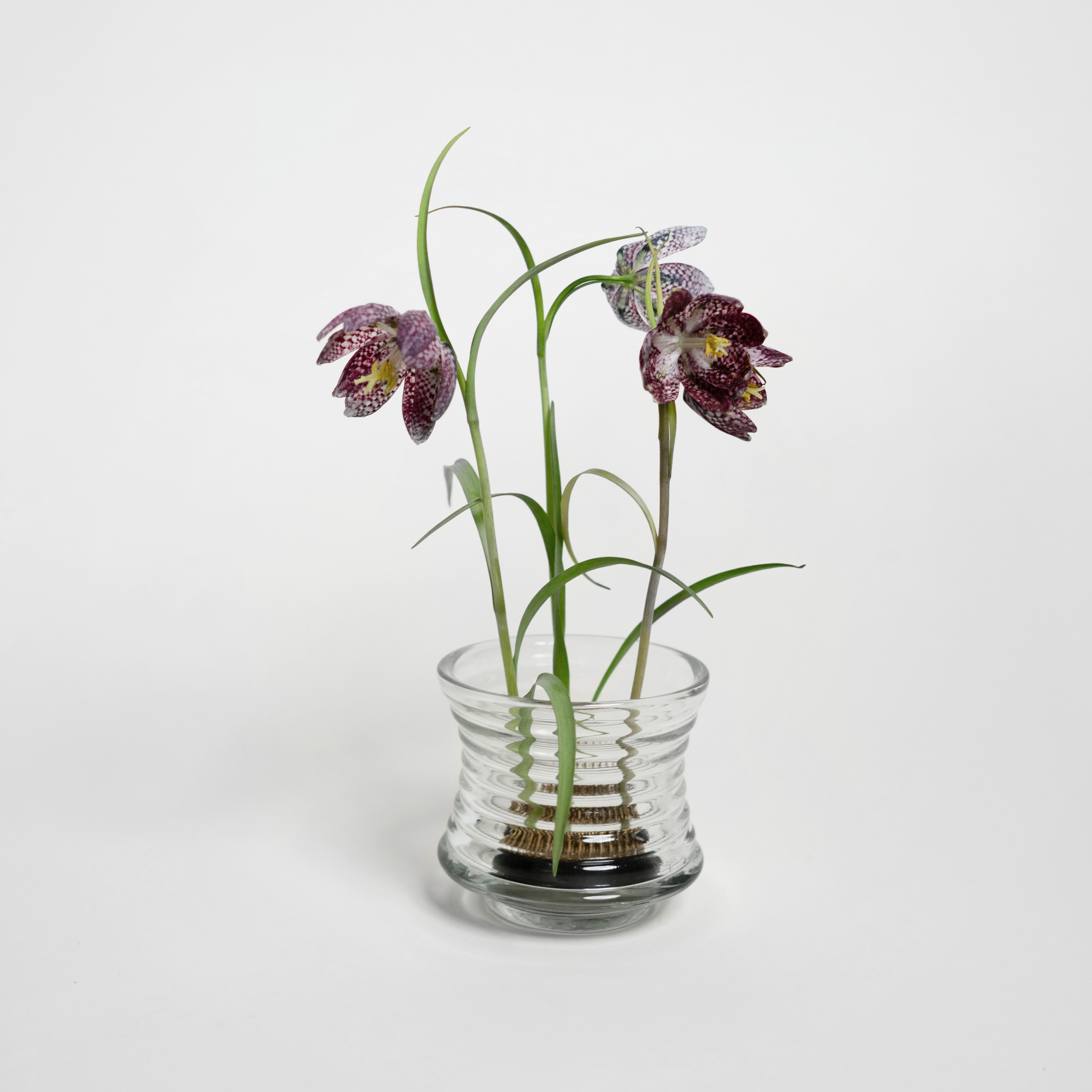 Hein Studio Kenzan Hanataba Harmaa 60mm