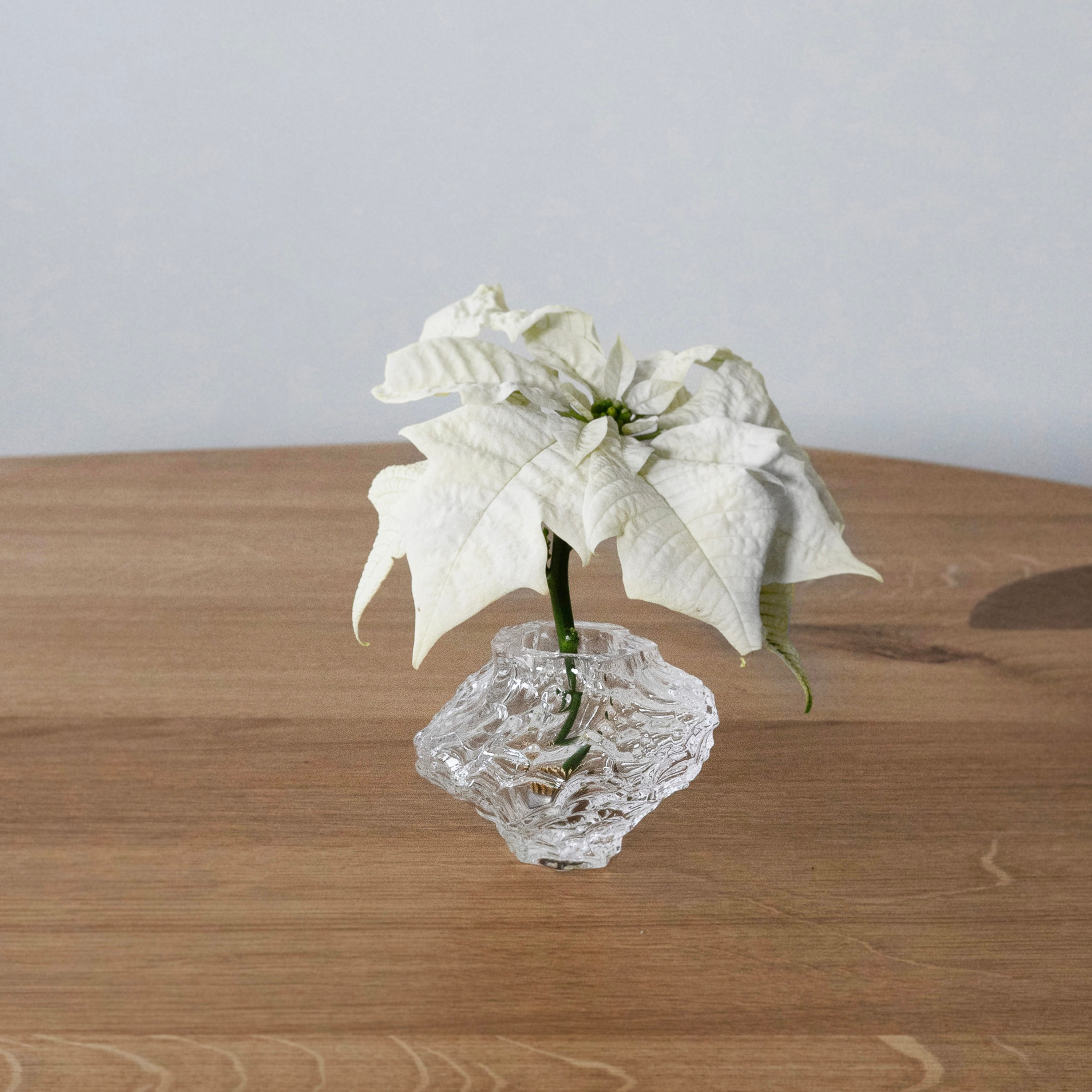 Hein Studio Canyon Maljakko Clear Mini