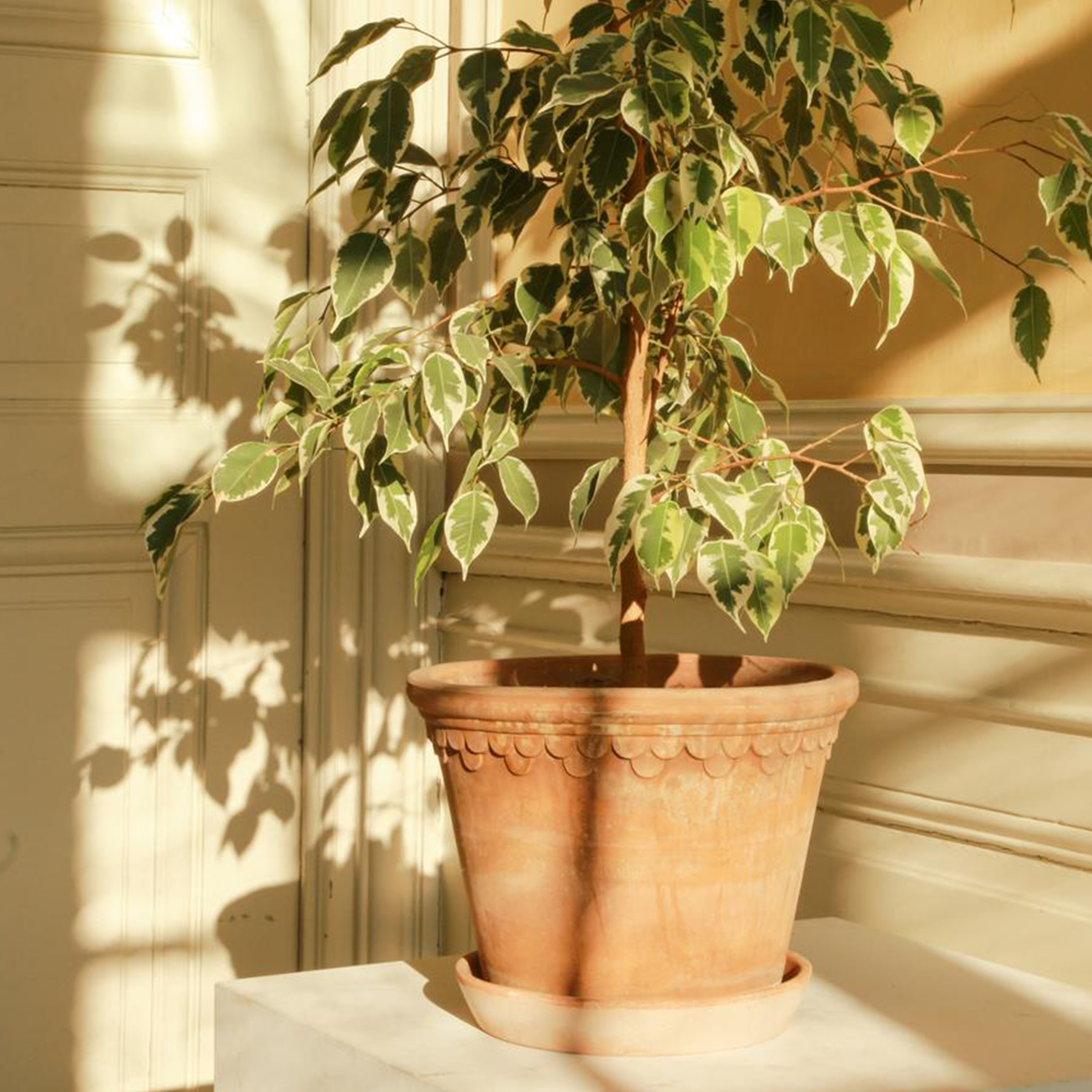 Bergs Potter Københavner Topf Raw Rosa Terrakotta Ø50