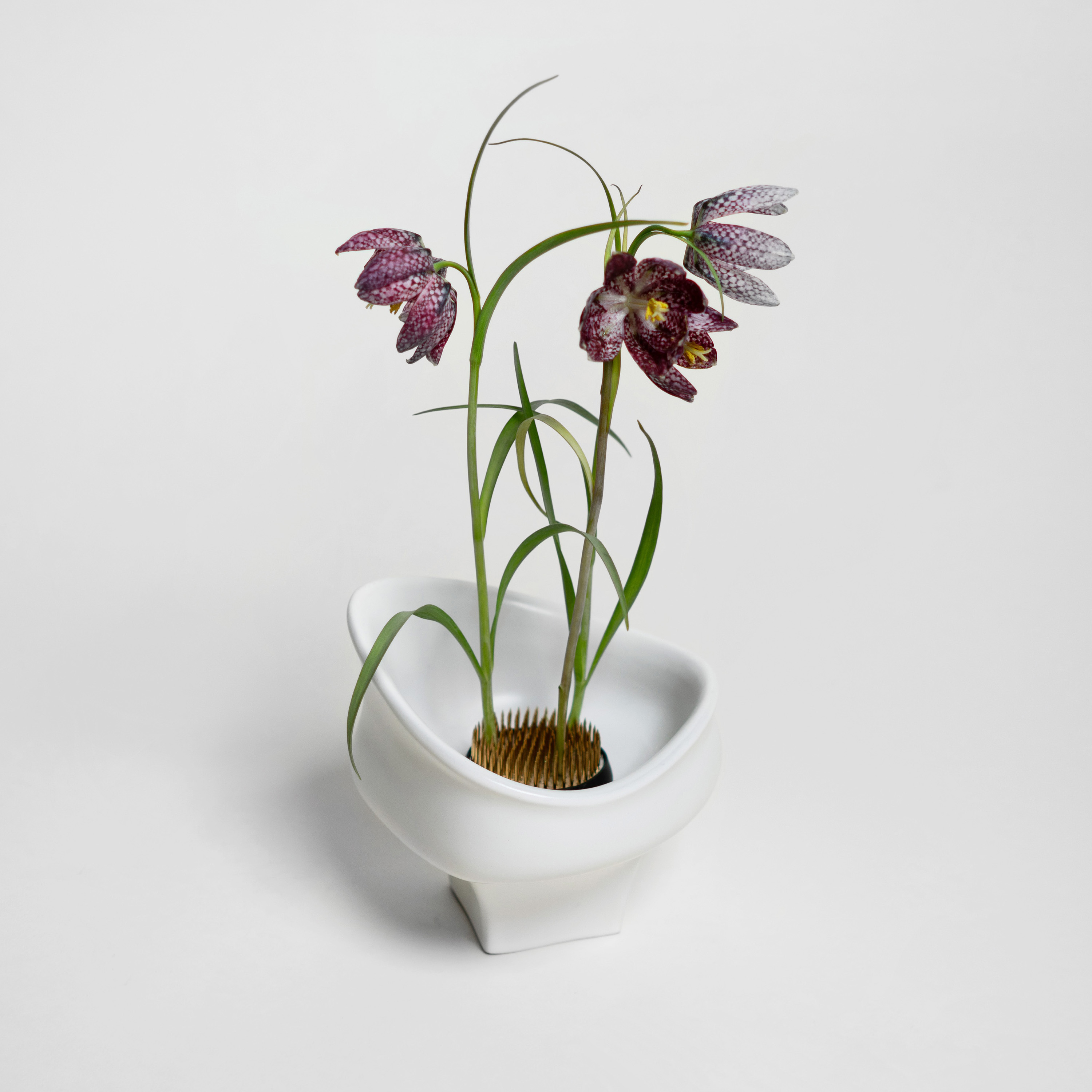 Hein Studio Kenzan Hanataba Harmaa 60mm