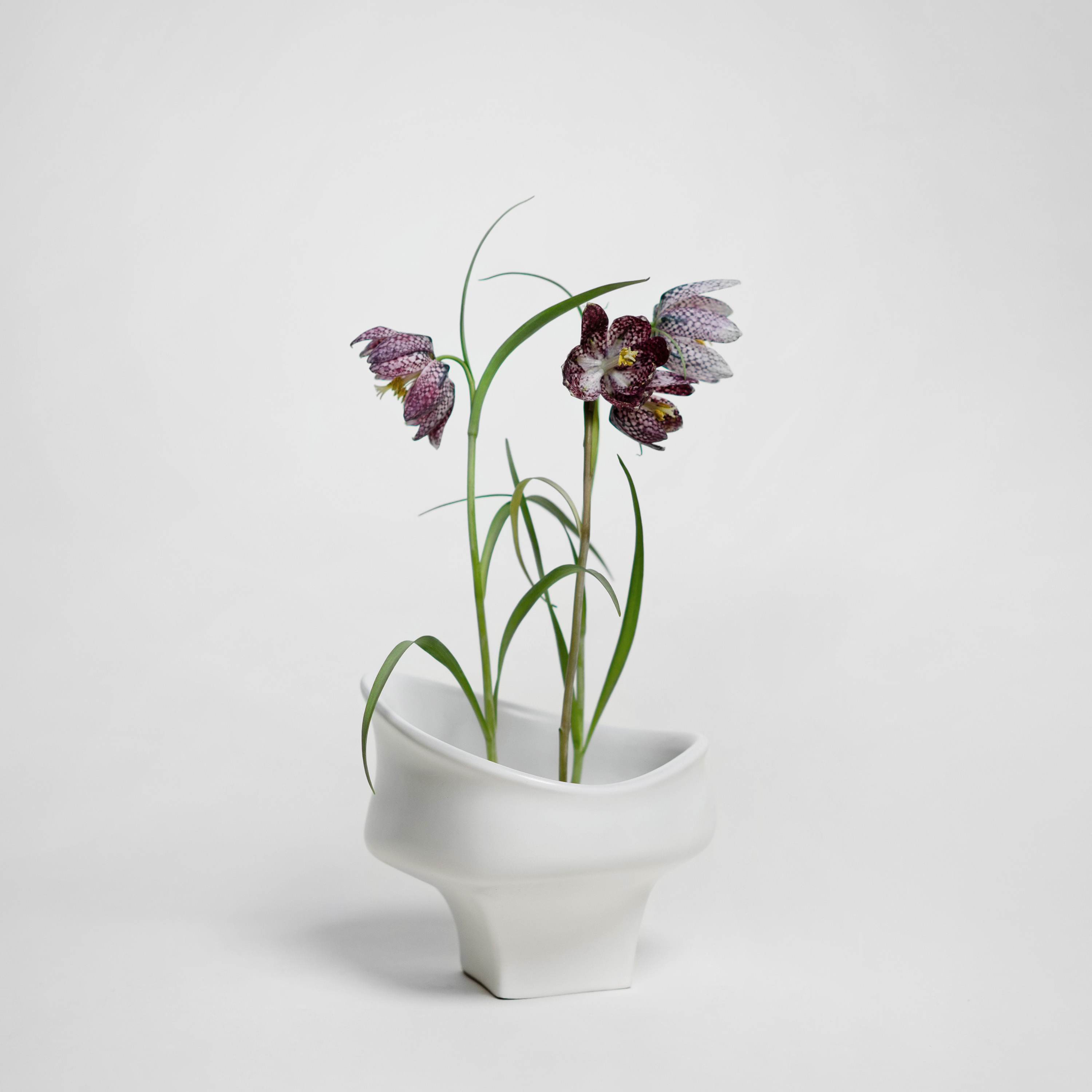 Hein Studio Kenzan Hanataba Harmaa 60mm