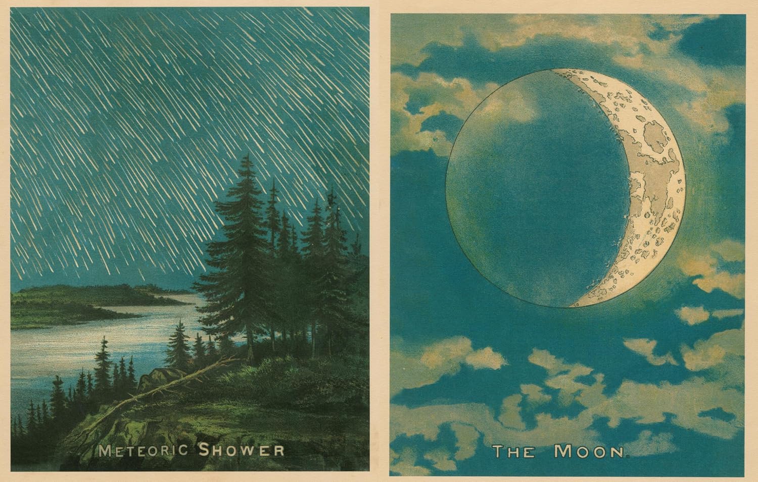 New Mags John Derian Picture Book II Bok