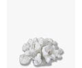 Coral Branches Dekoration White S