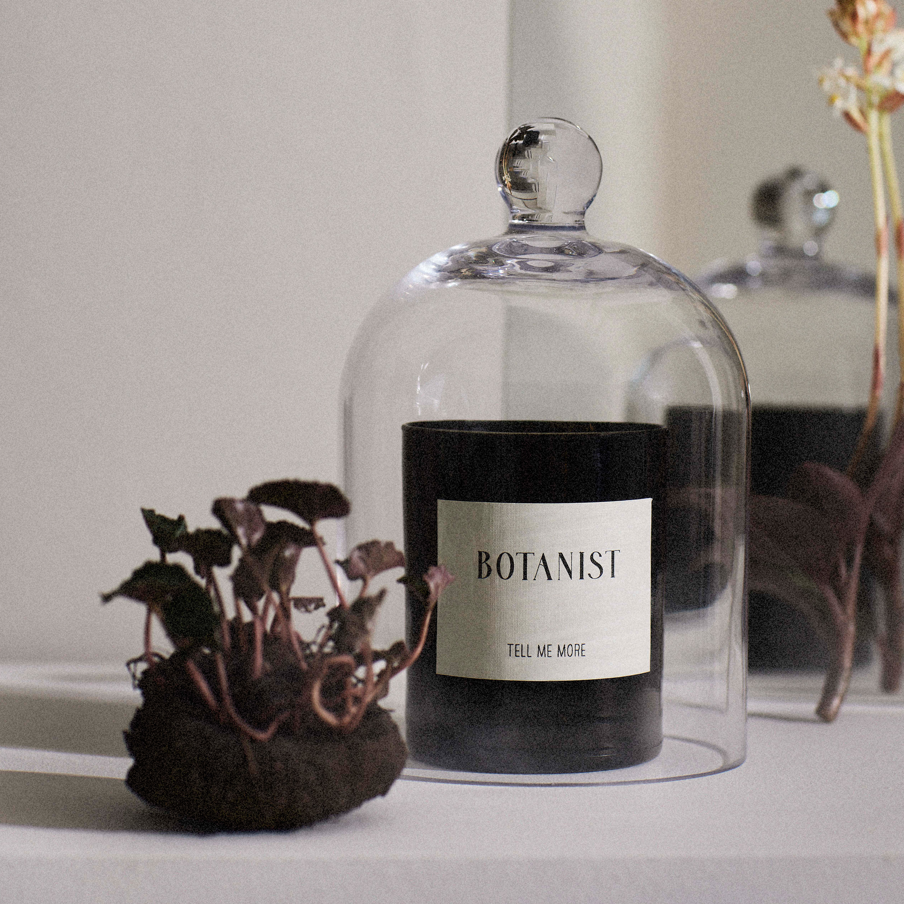 Tell me more Doftljus Botanist