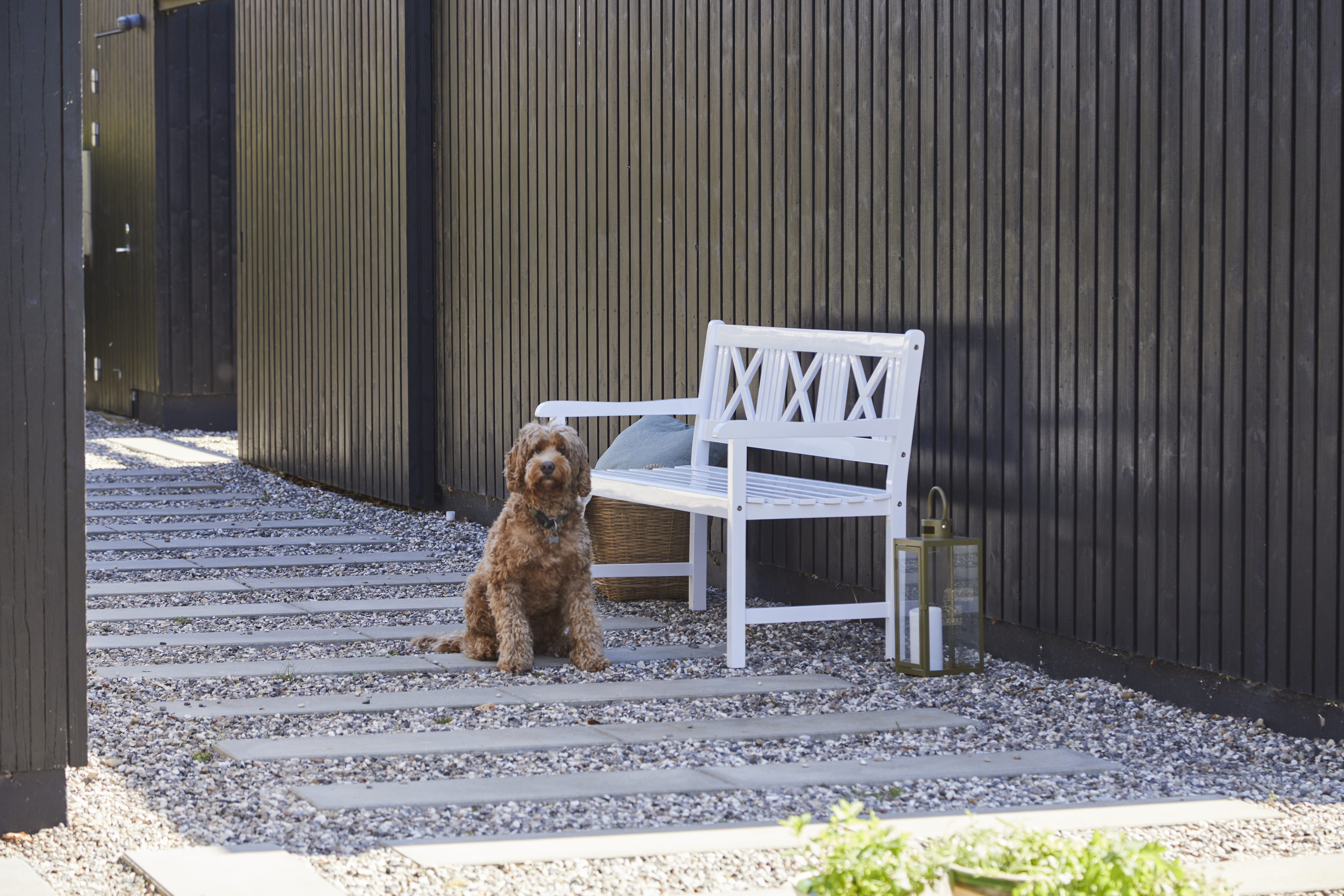 Cinas Rosenborg 3-istuttava Sohva Valkoinen